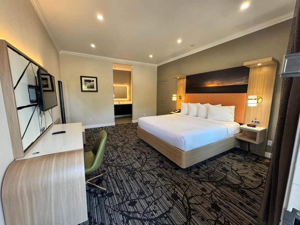 Superior King Room photo 2