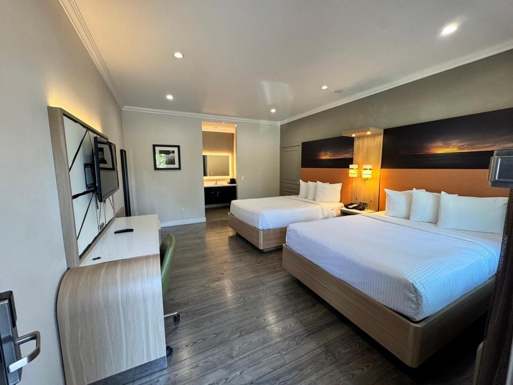 Deluxe Queen Room photo 1