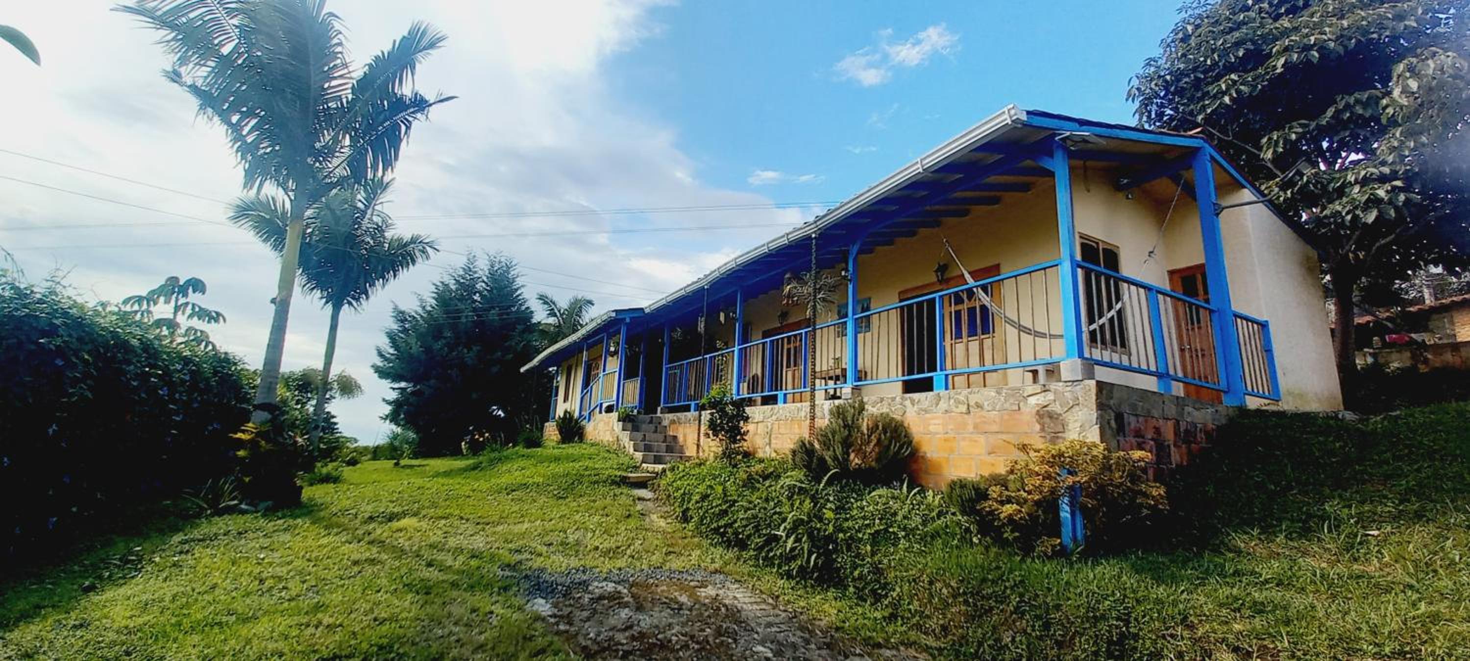 Three-Bedroom House photo 2