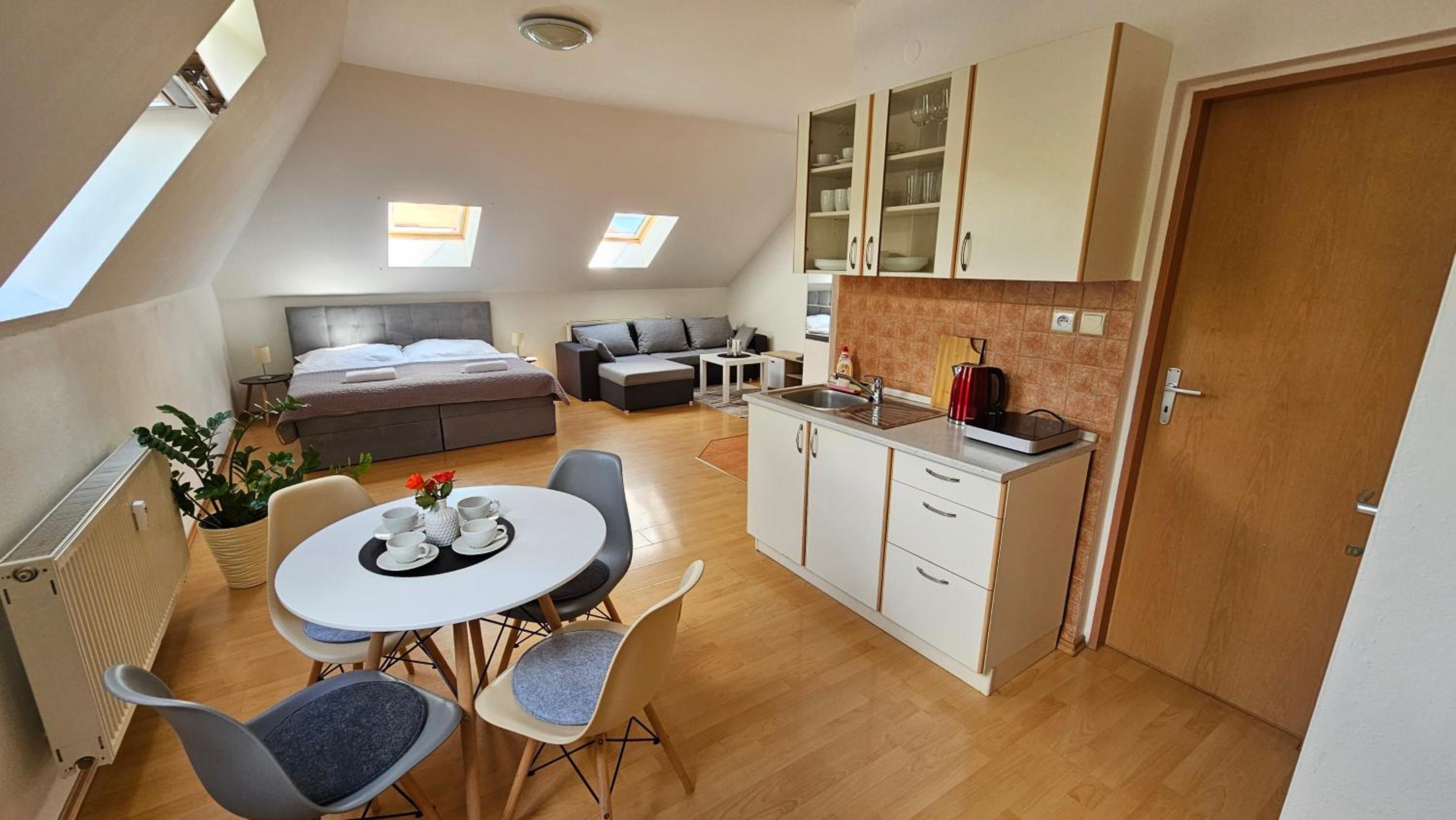 One-bedroom Loft Apartment