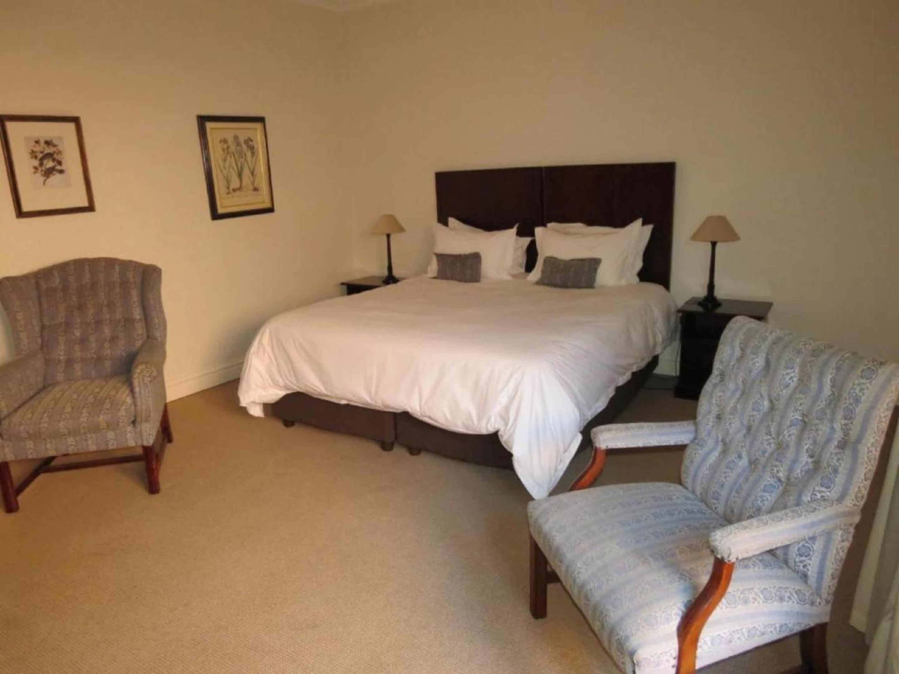 Premium Suite photo 3