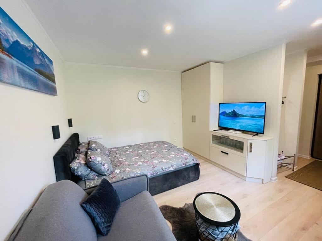 One-Bedroom Apartment - Photo 5