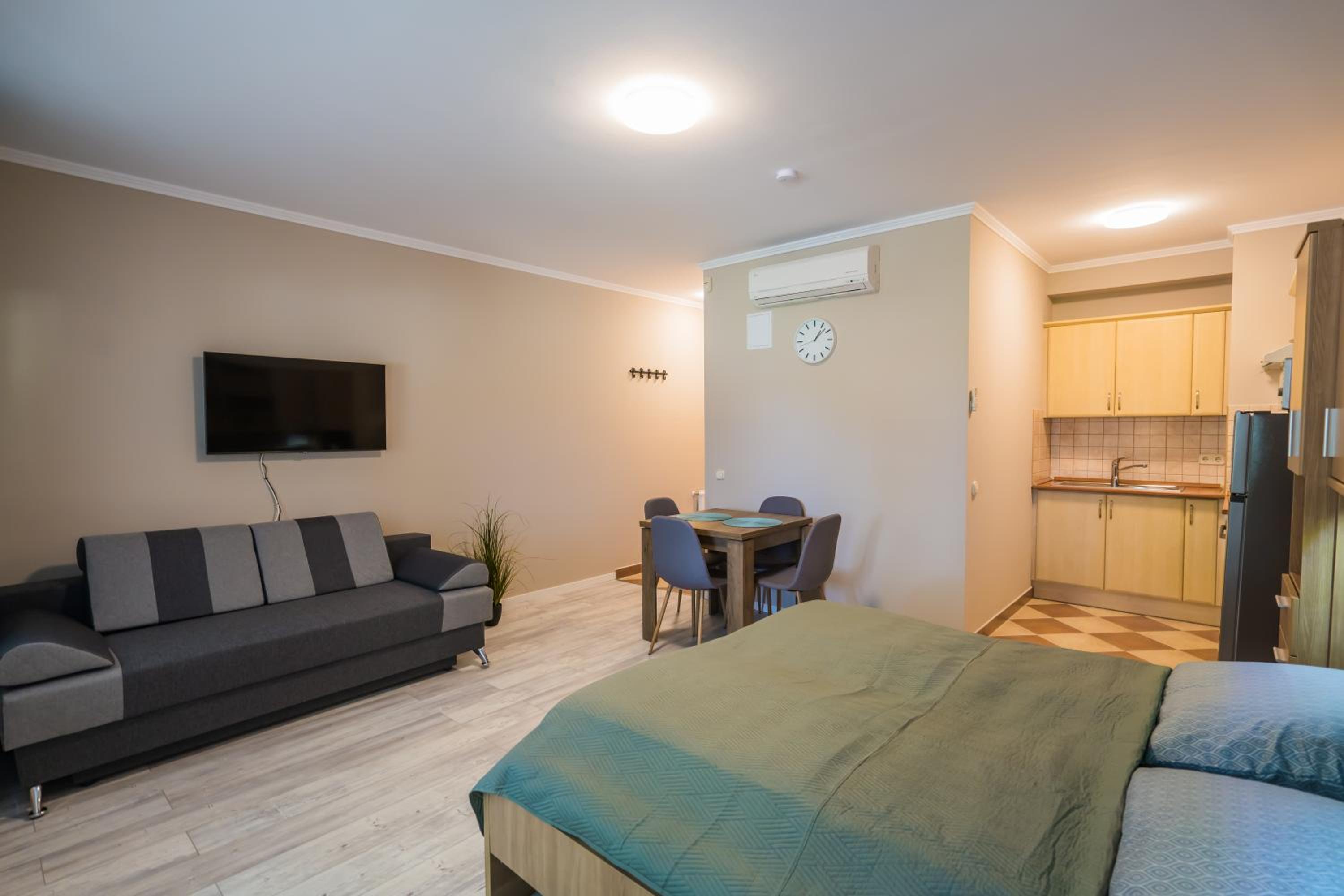 One-Bedroom Apartment photo 3