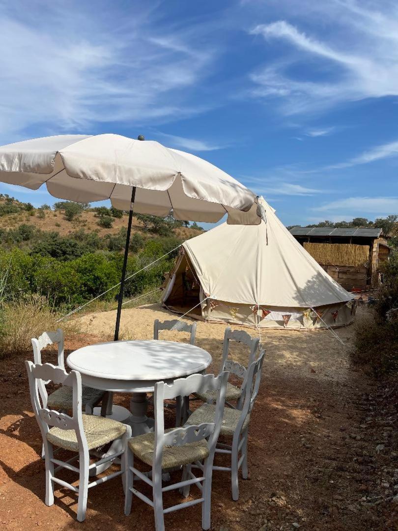 Tent photo 3