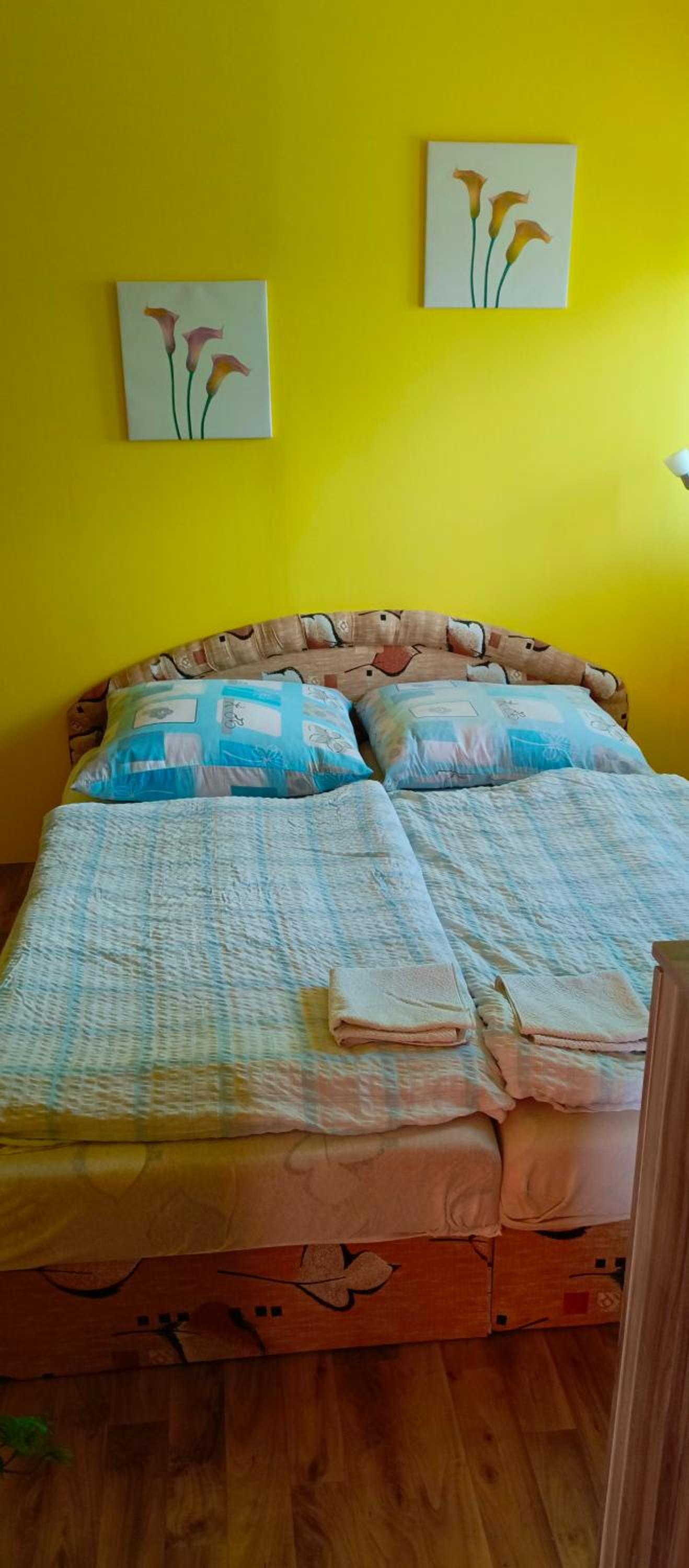 Deluxe Two-Bedroom Apartment with Garden View photo 1