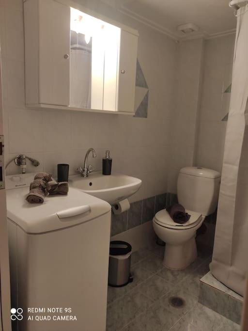 One-Bedroom Apartment photo 3
