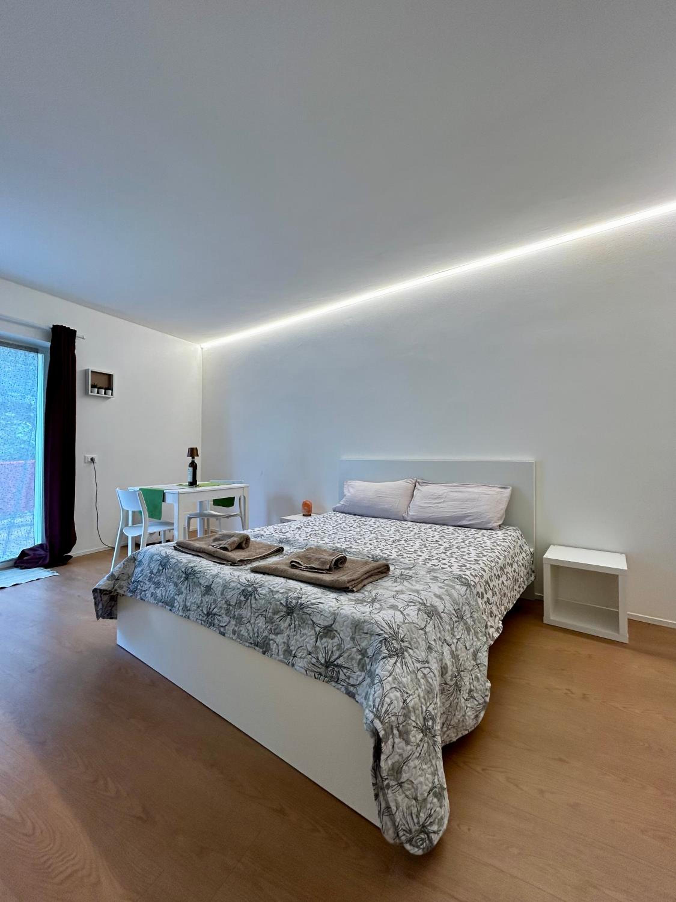 Studio Apartment photo 1