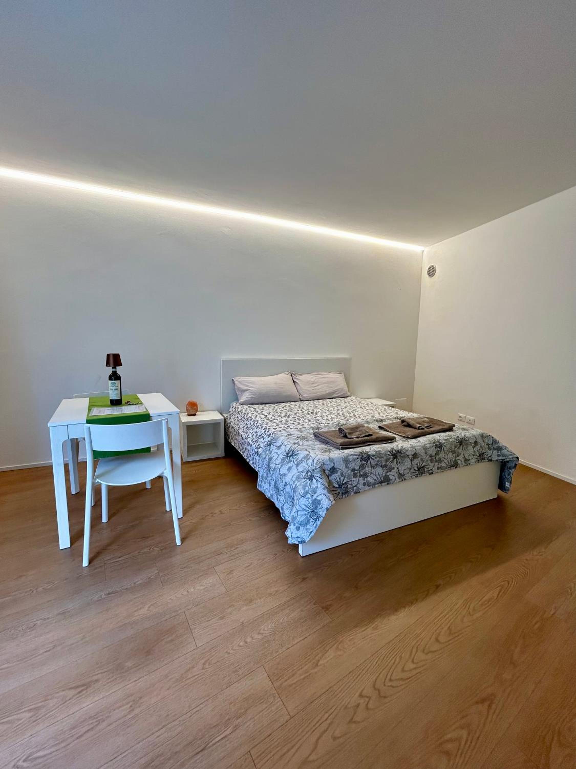 Studio Apartment photo 2