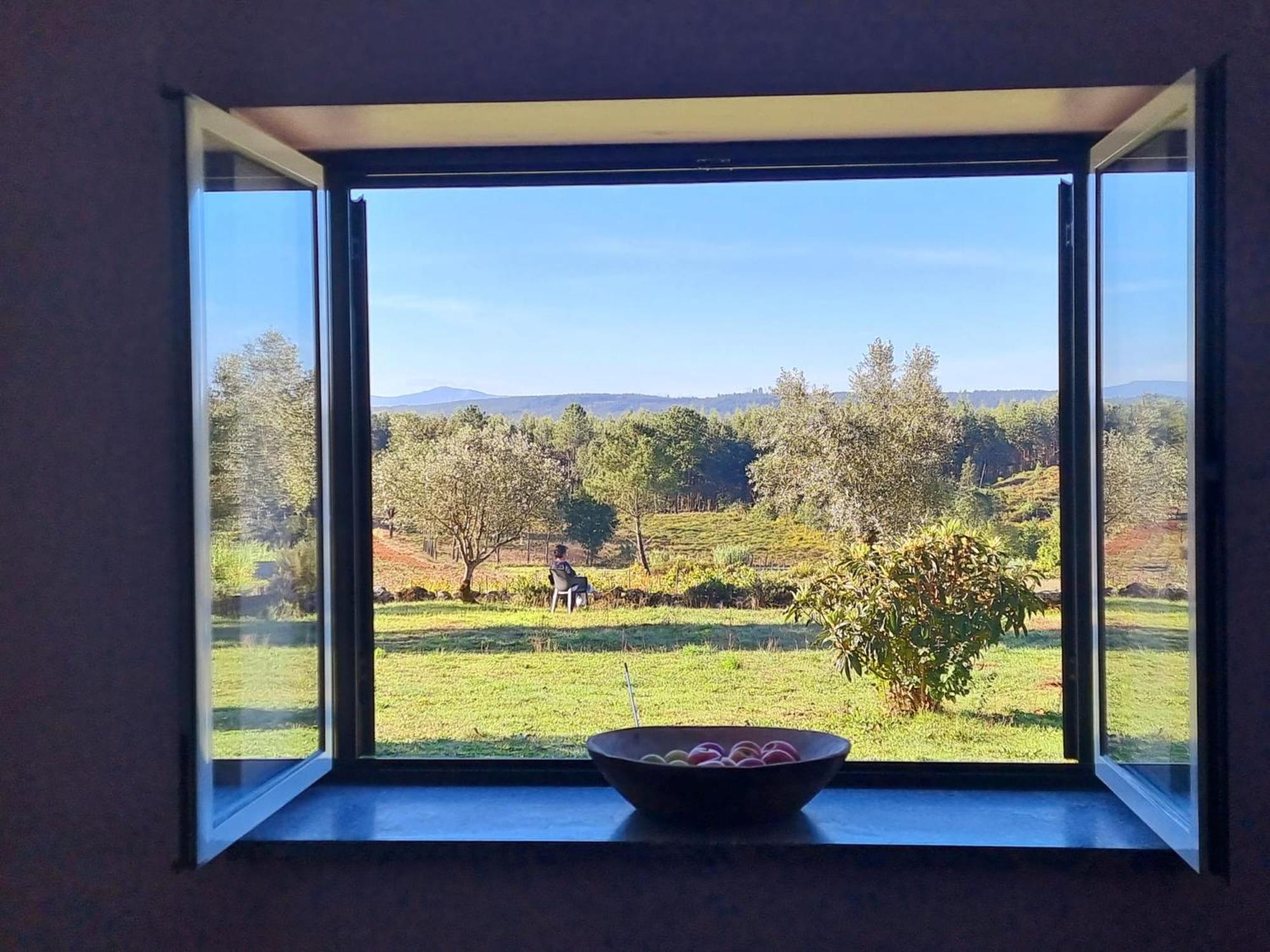 Double or Twin Room with View photo 2