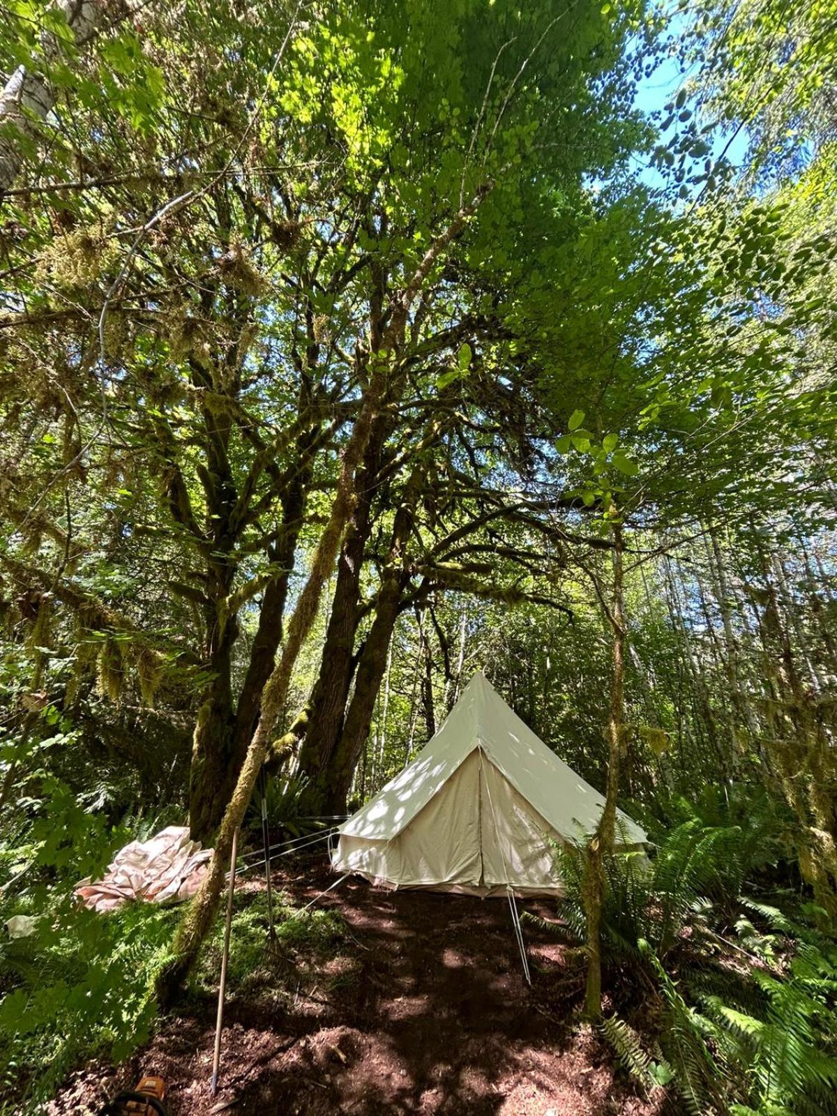 Tent photo 3