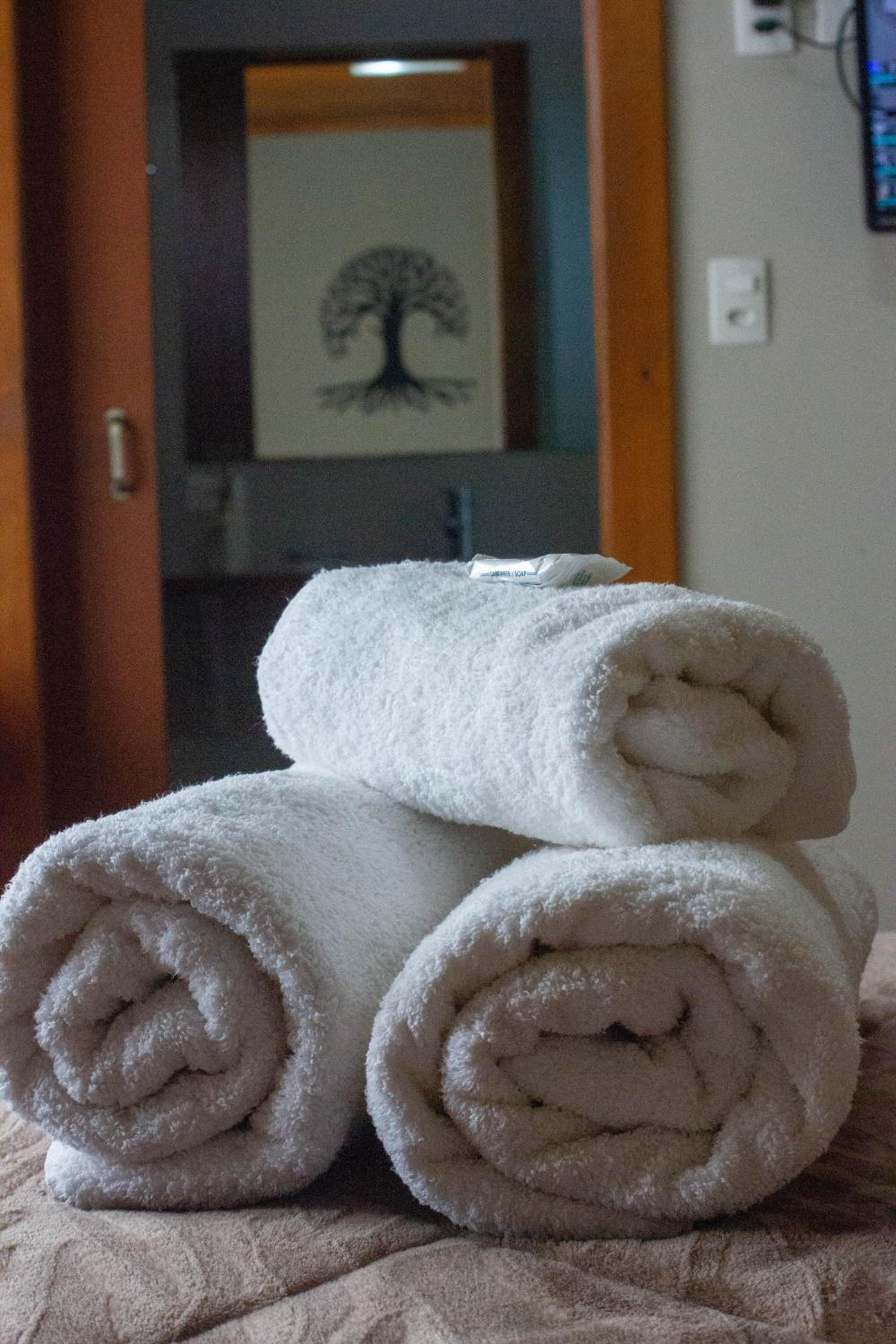 Deluxe Double Room photo 3