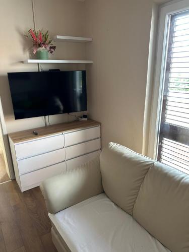 Three-Bedroom Apartment photo 2