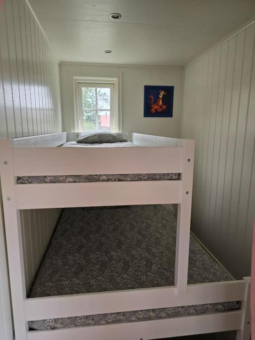 One-Bedroom House photo 1