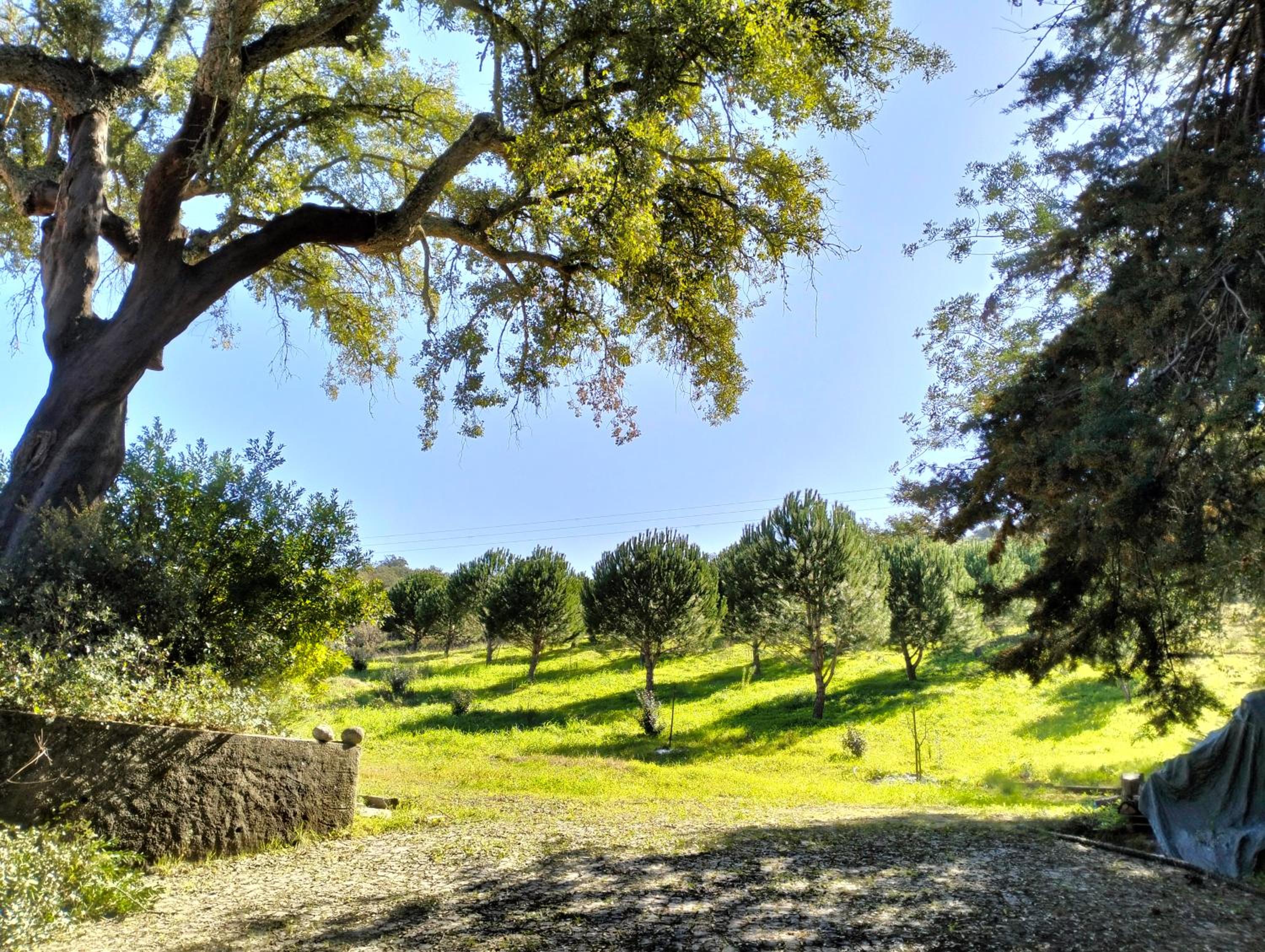 Superior Villa photo 3