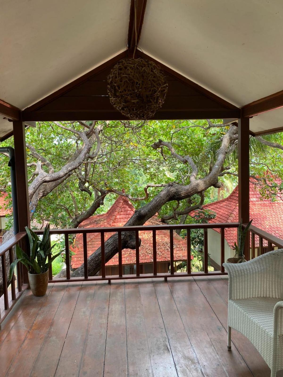 Family Room with Balcony - Photo 21