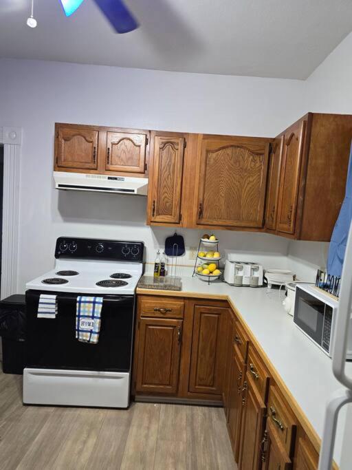 One-Bedroom Apartment photo 2