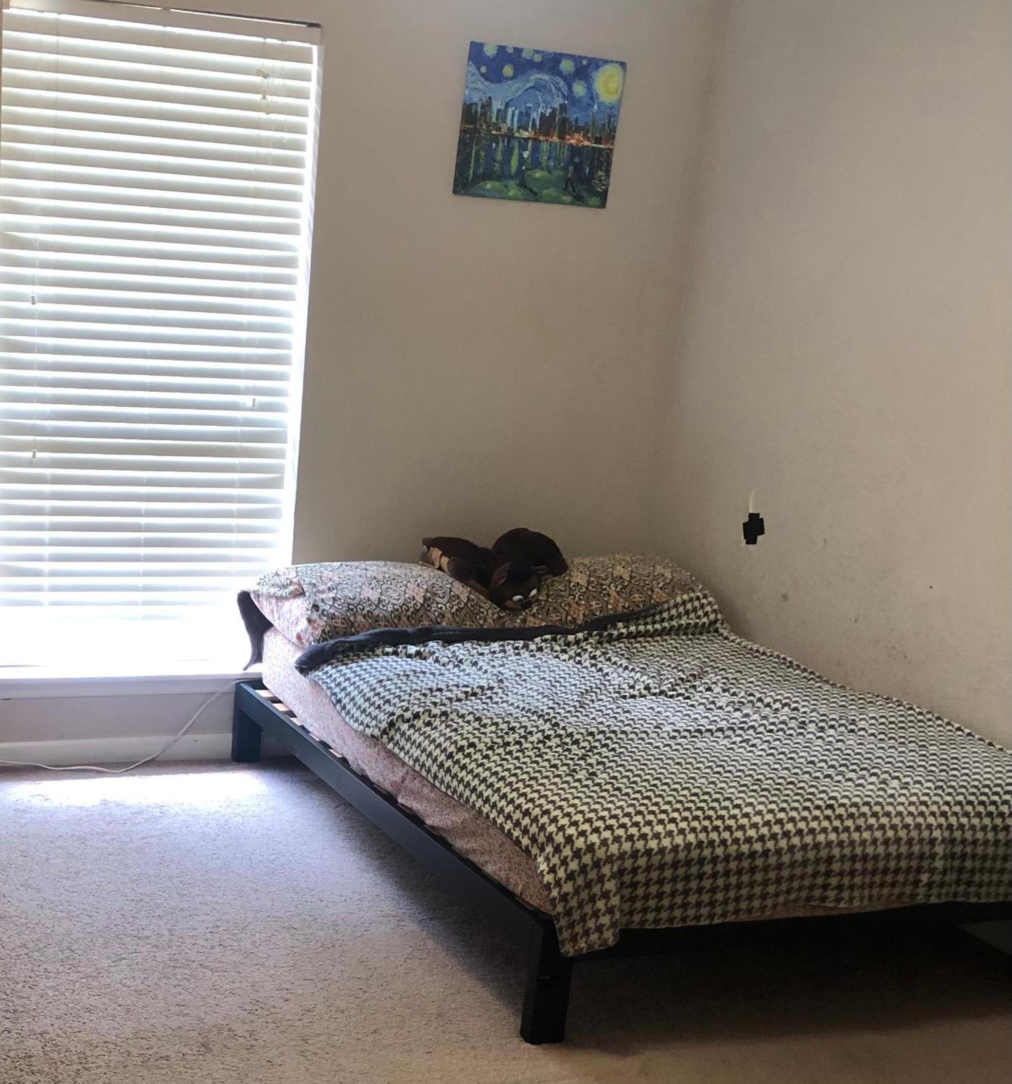 Double Room with Shared Bathroom photo 1