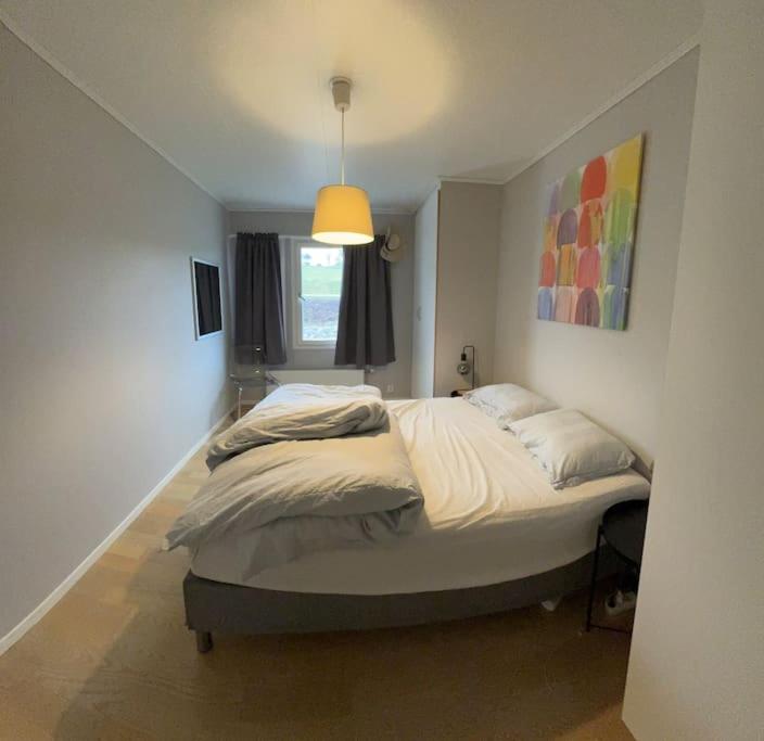 One-Bedroom House photo 3