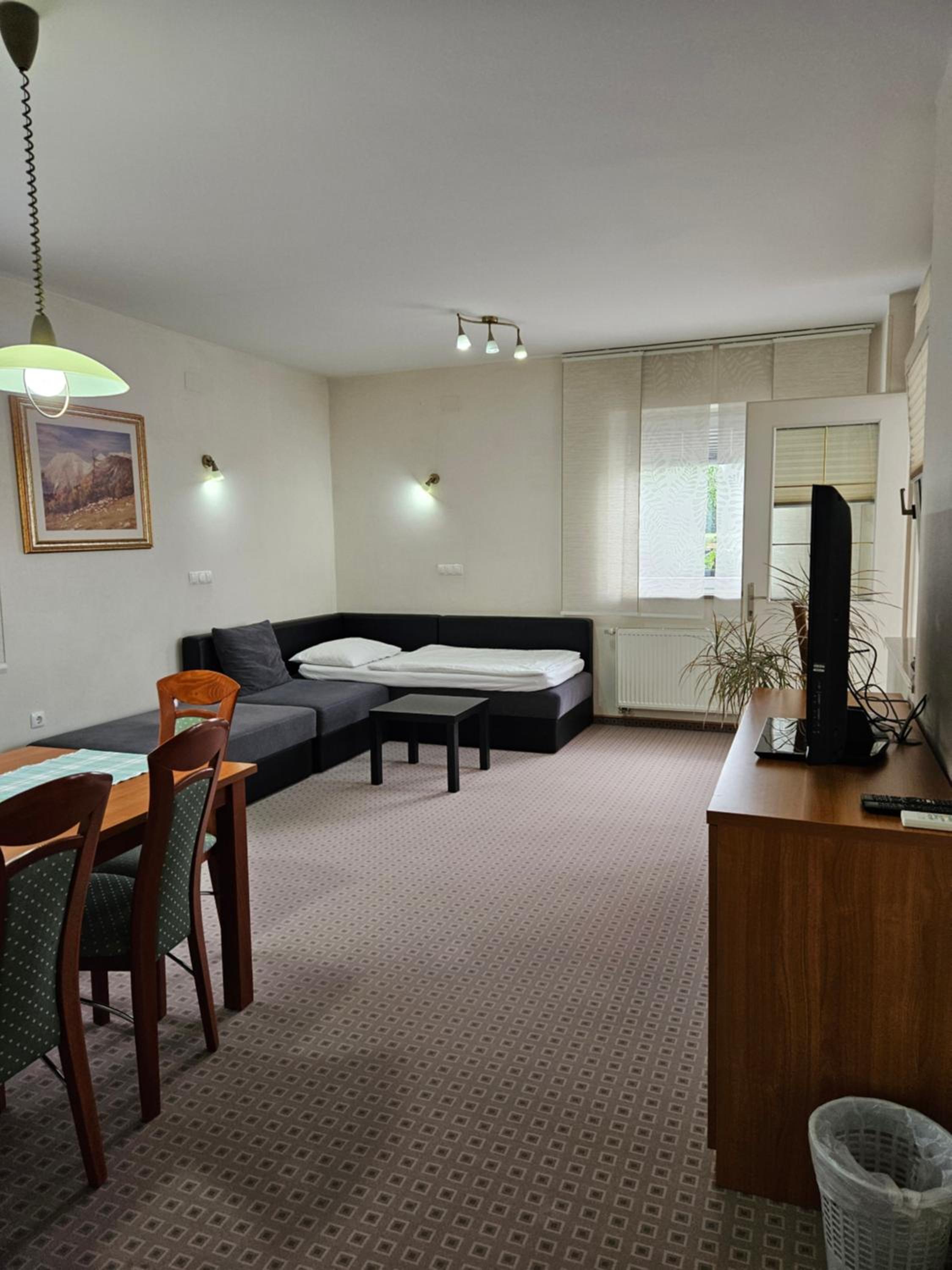 One-Bedroom Apartment - Photo 7