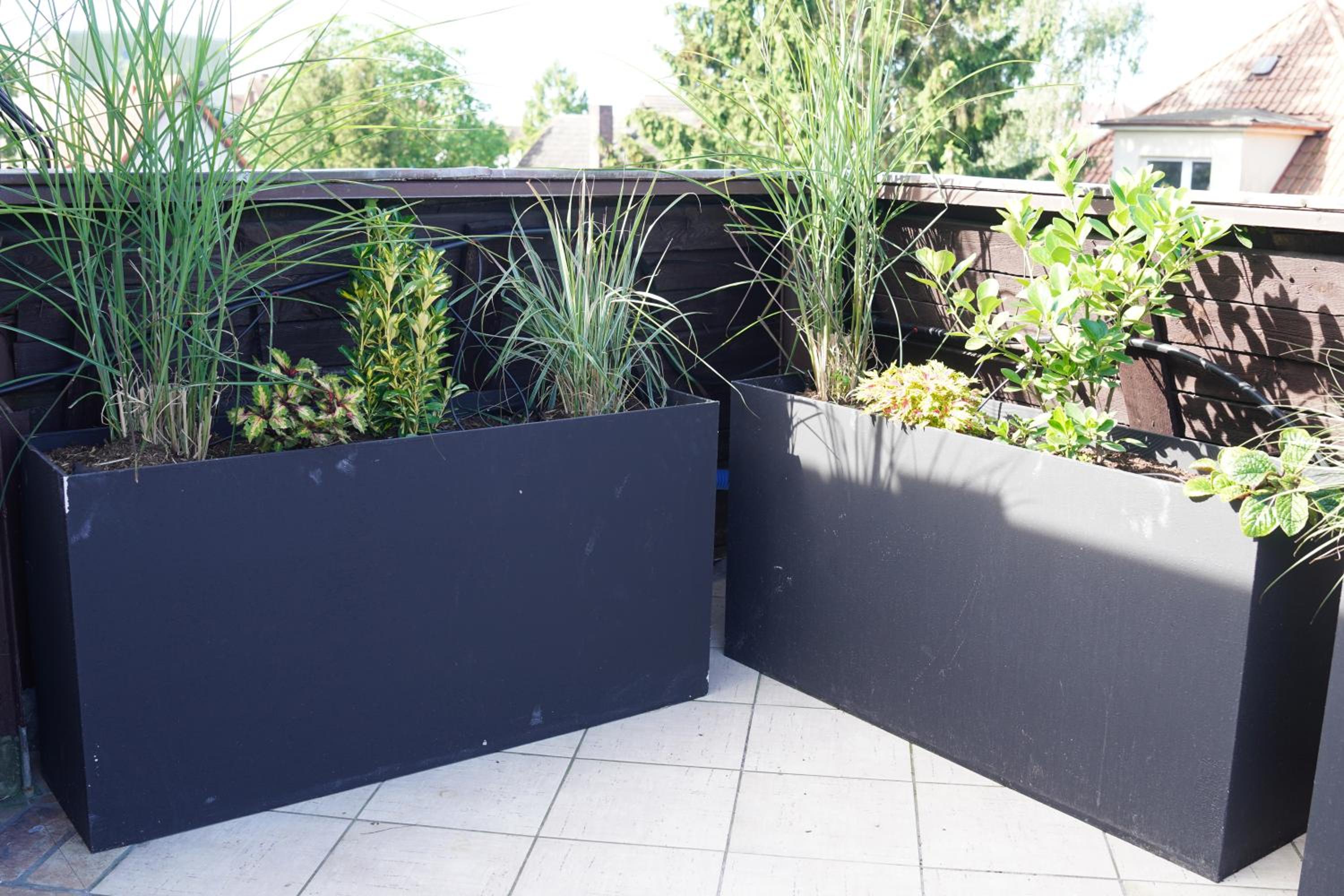 Triple Room with Terrace photo 3