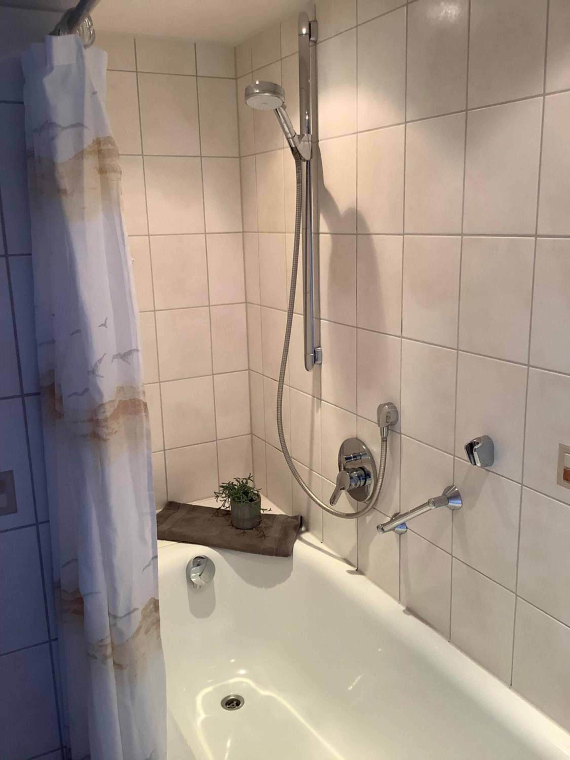 One-Bedroom Apartment with Shower photo 2