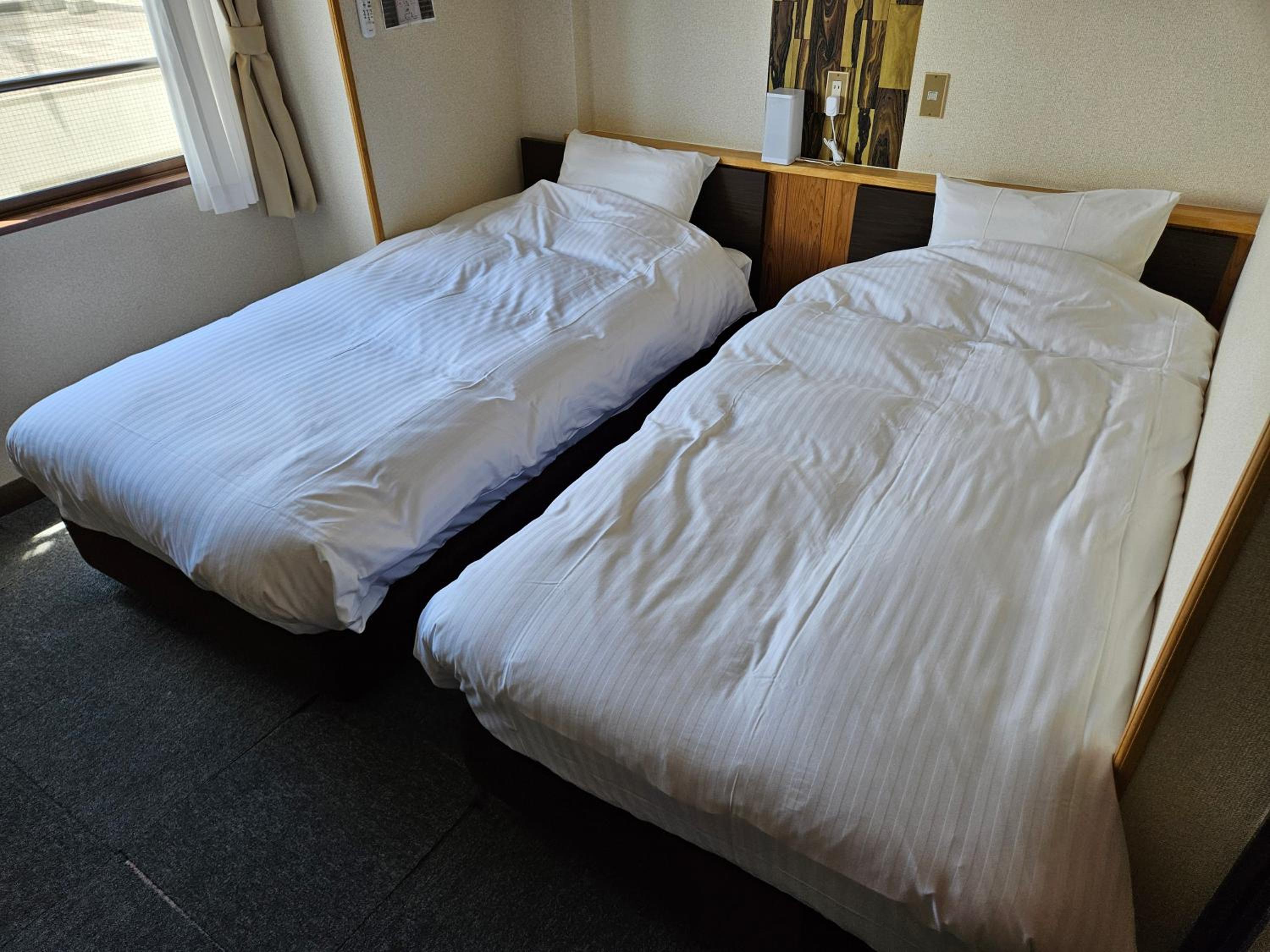 Standard Twin Room with Mountain View - Photo 2