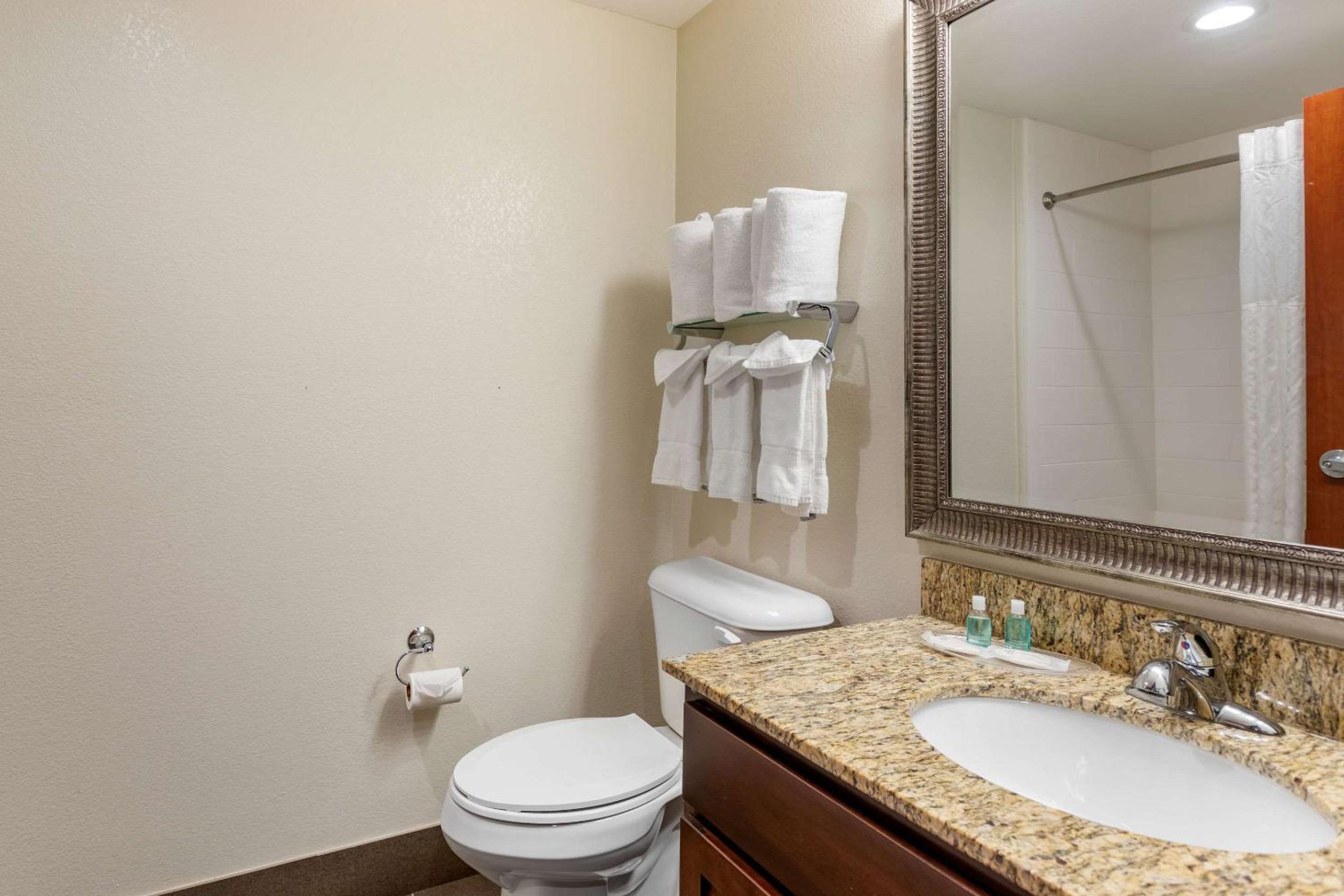 King Suite with Sofa Bed - Photo 7