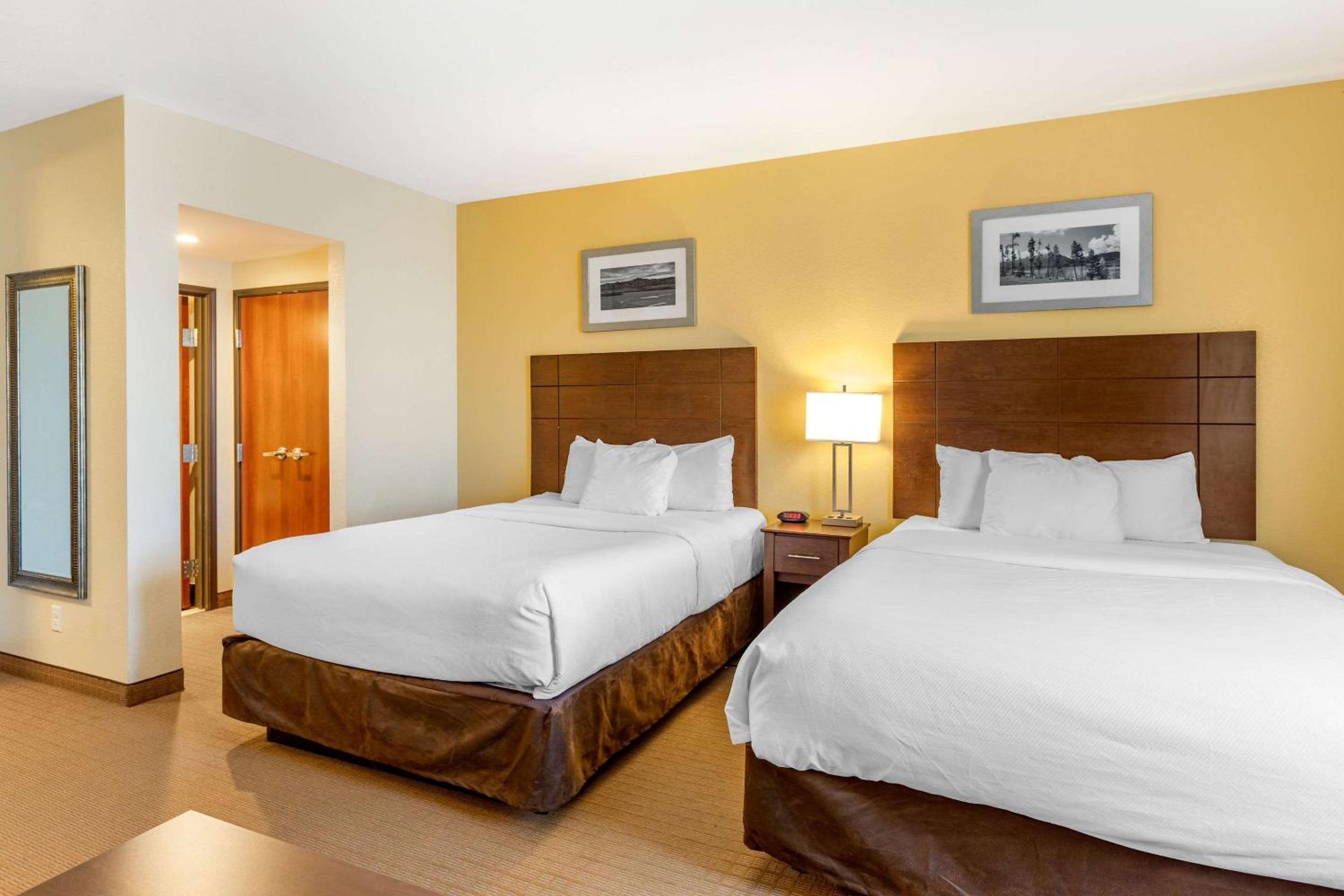 Queen Suite with Two Queen Beds and Sofa Bed - Non-Smoking - Photo 1