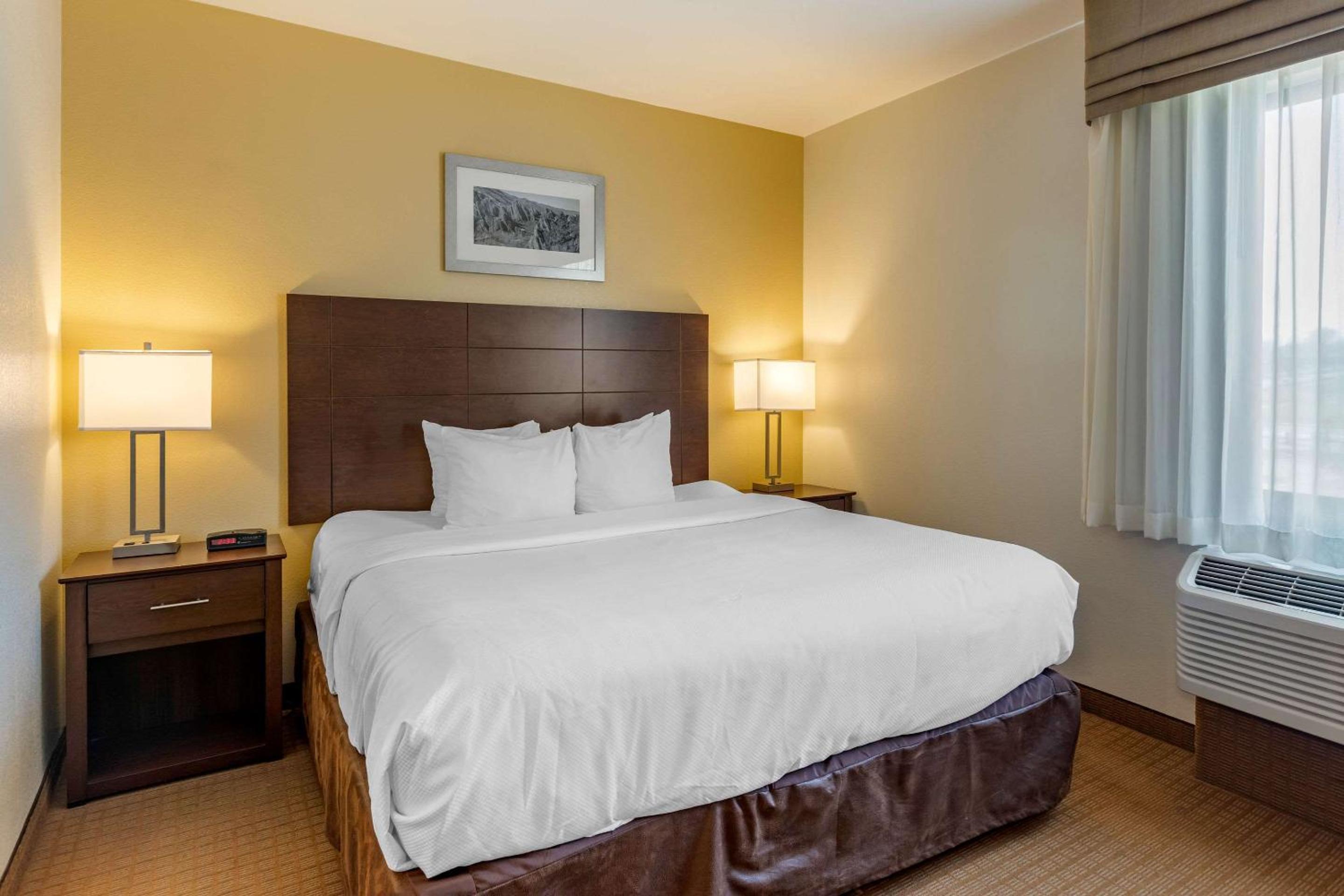 King Suite with Sofa Bed - Photo 1