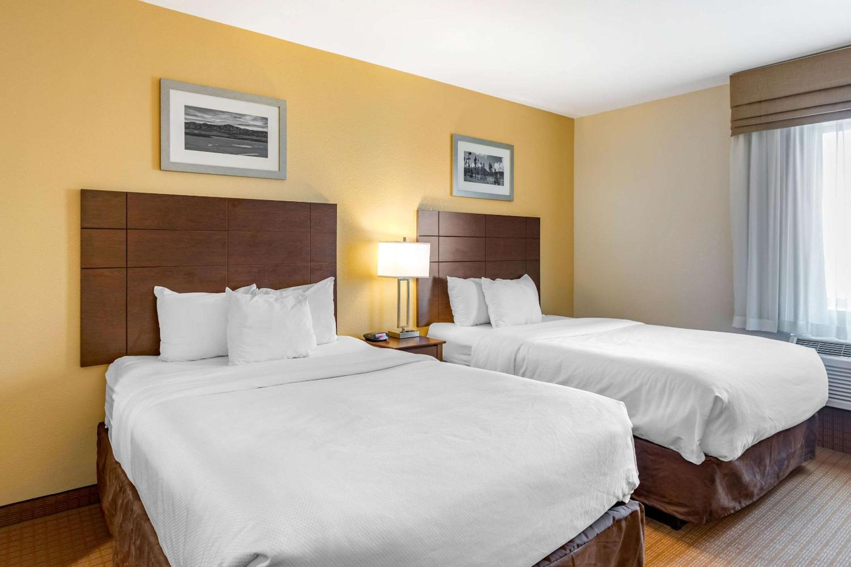 Queen Suite with Two Queen Beds and Sofa Bed - Non-Smoking - Photo 7