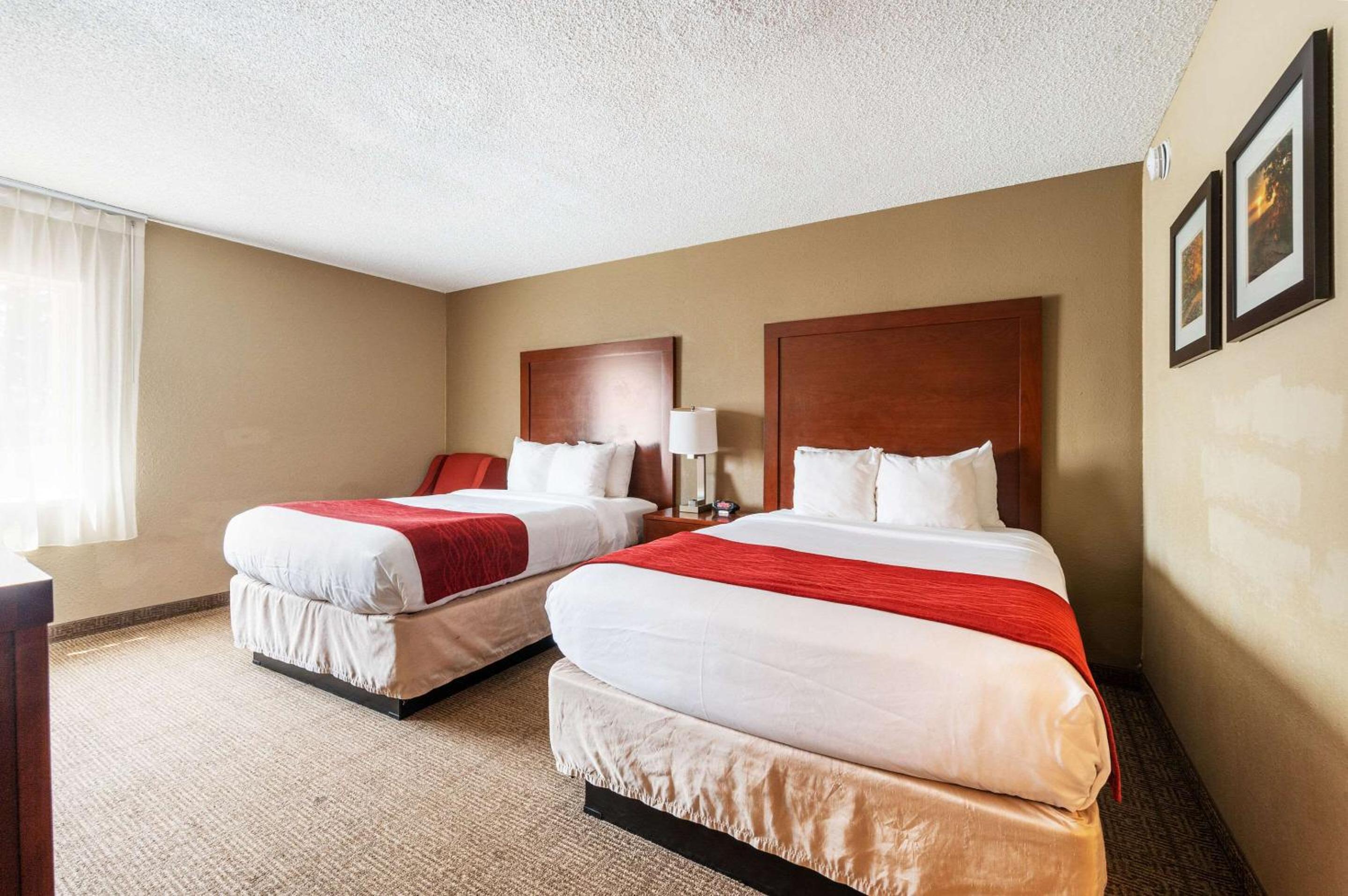 Double Room with Two Double Beds - Non-Smoking - Photo 1
