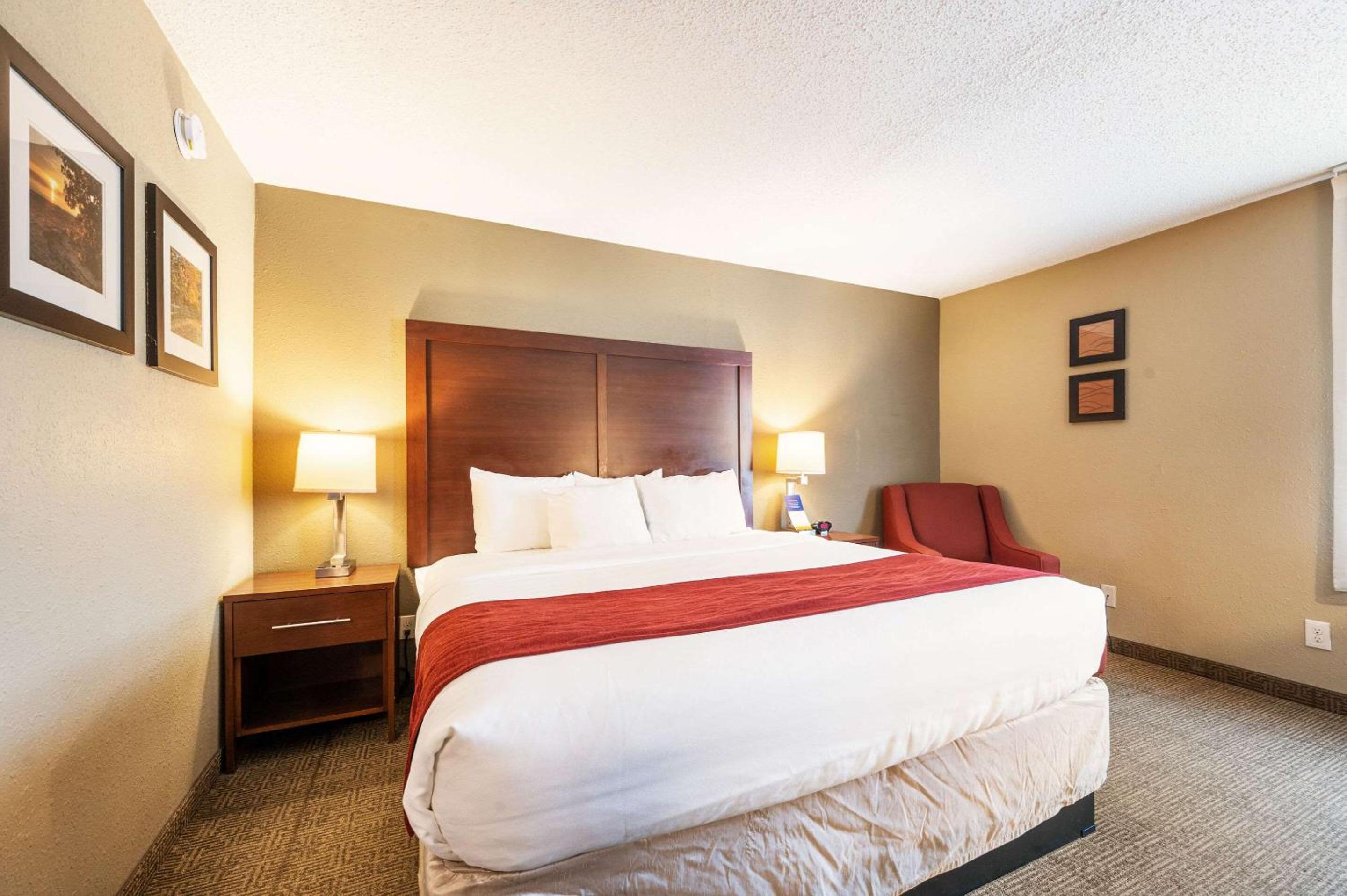 King Room - Non-Smoking - Photo 2