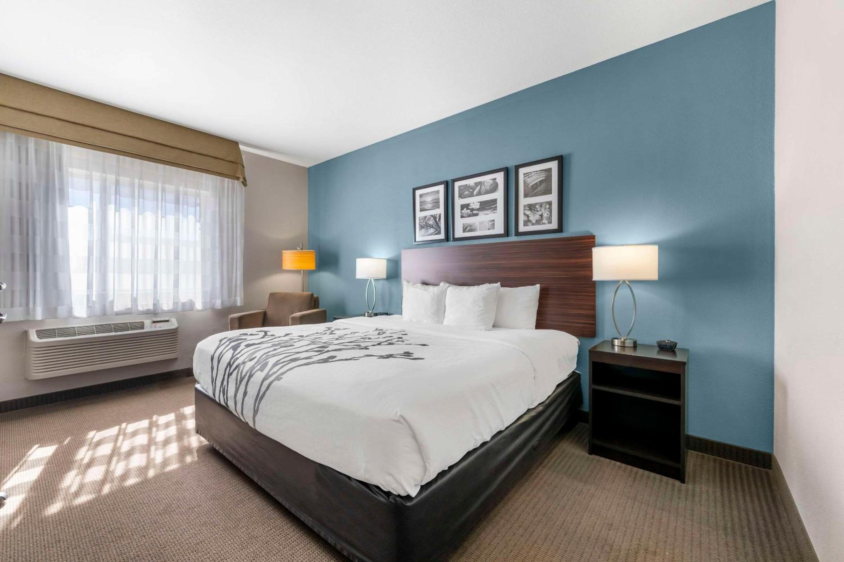 King Room Mobility and Hearing Accessible -  Accessible/Non-Smoking - Photo 1