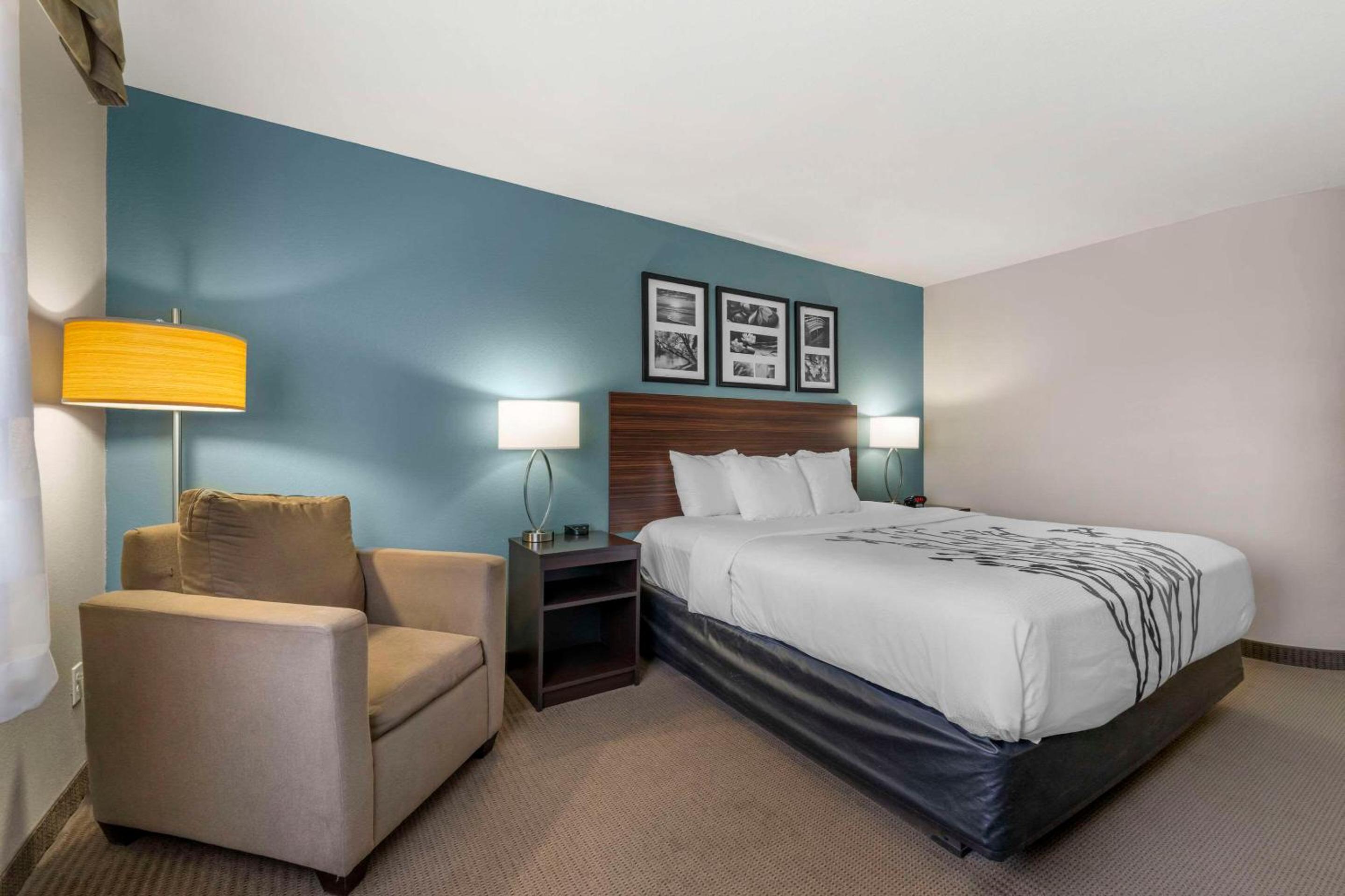 King Room - Non-Smoking - Photo 6