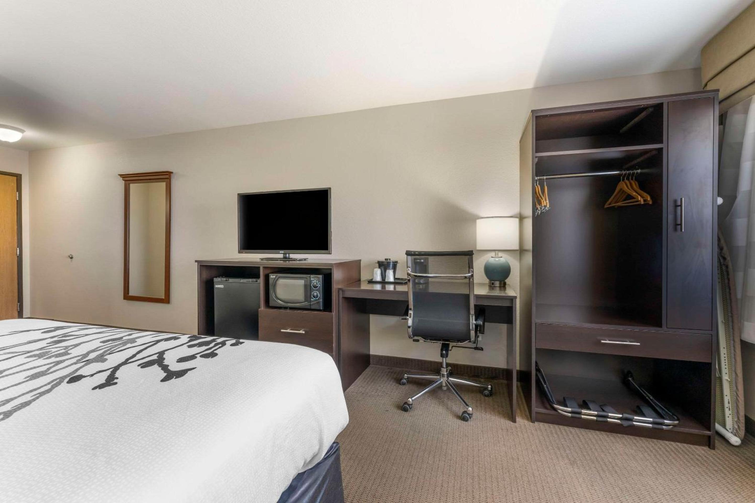 King Room - Non-Smoking - Photo 7