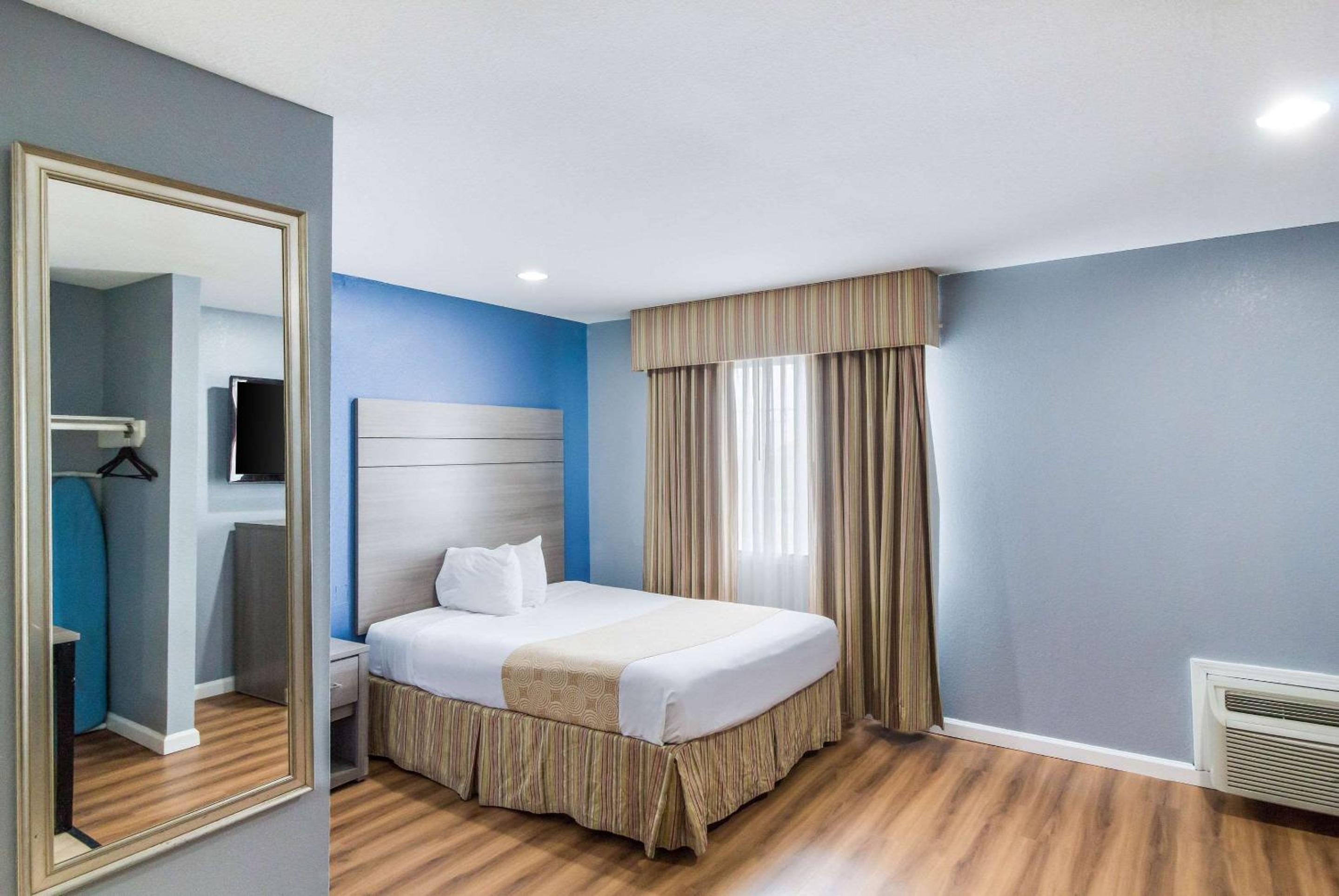Suite with One Queen Bed photo 1
