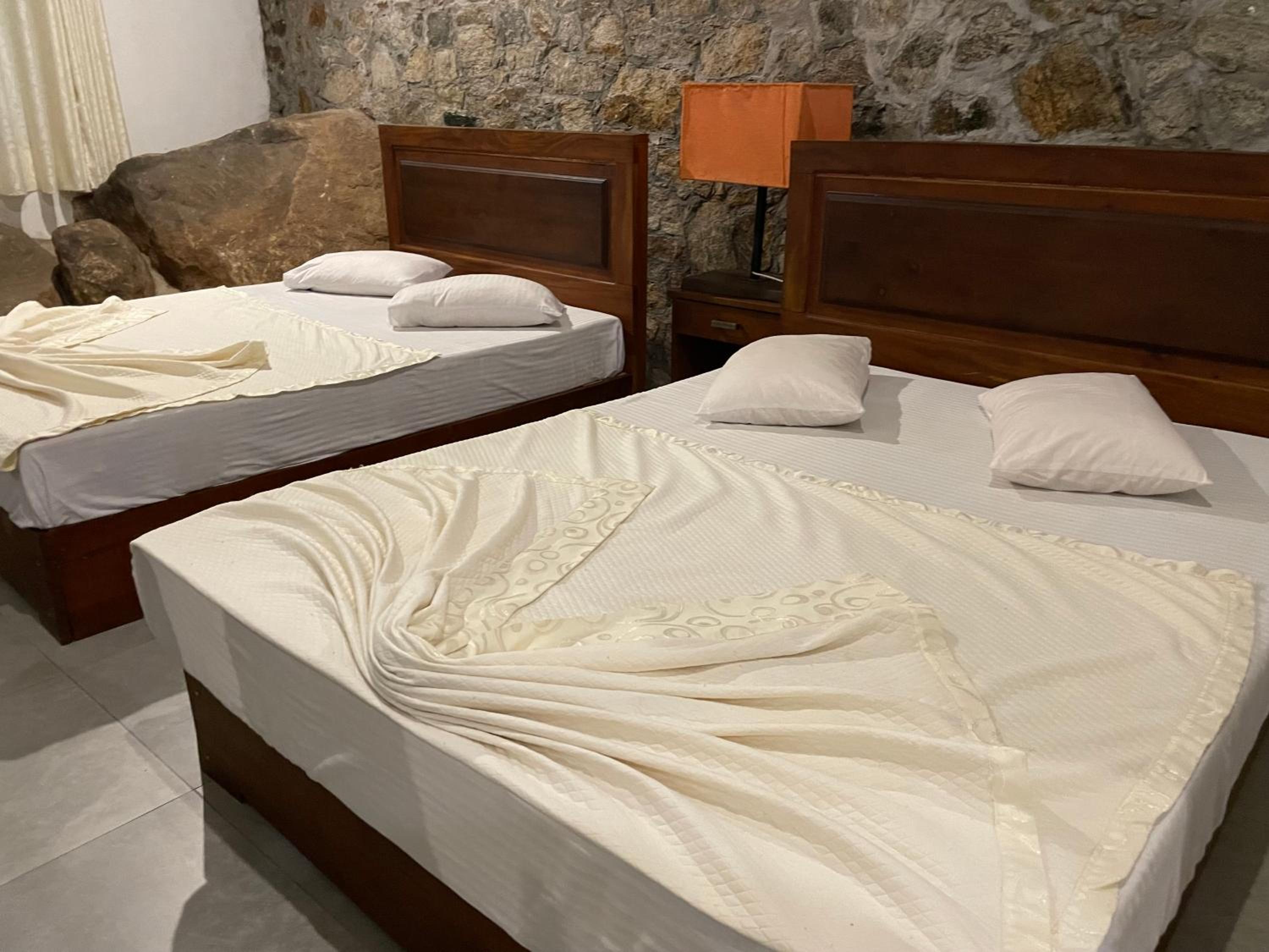 Deluxe Double or Twin Room with Mountain View photo 2