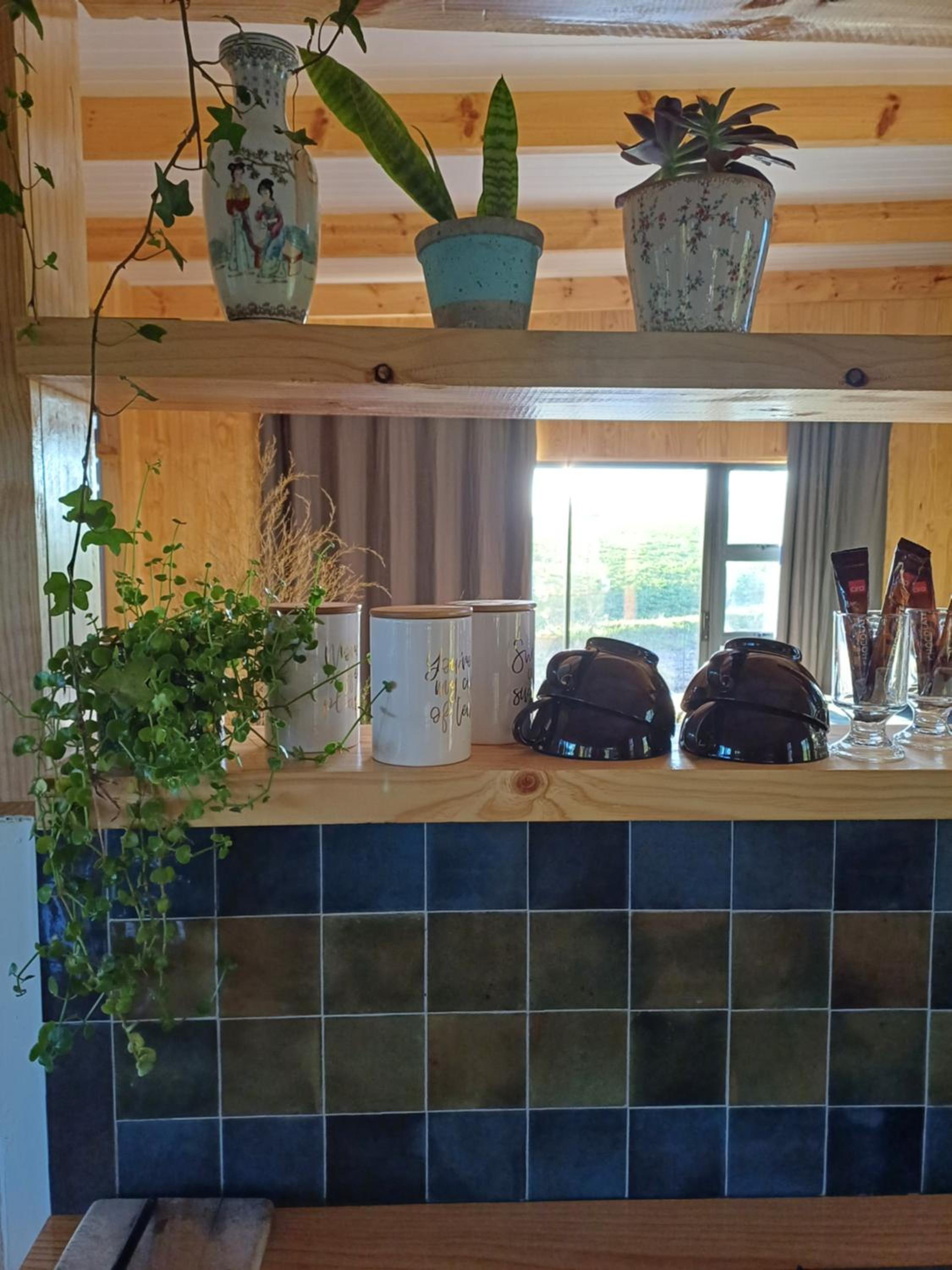 One-Bedroom Villa photo 2