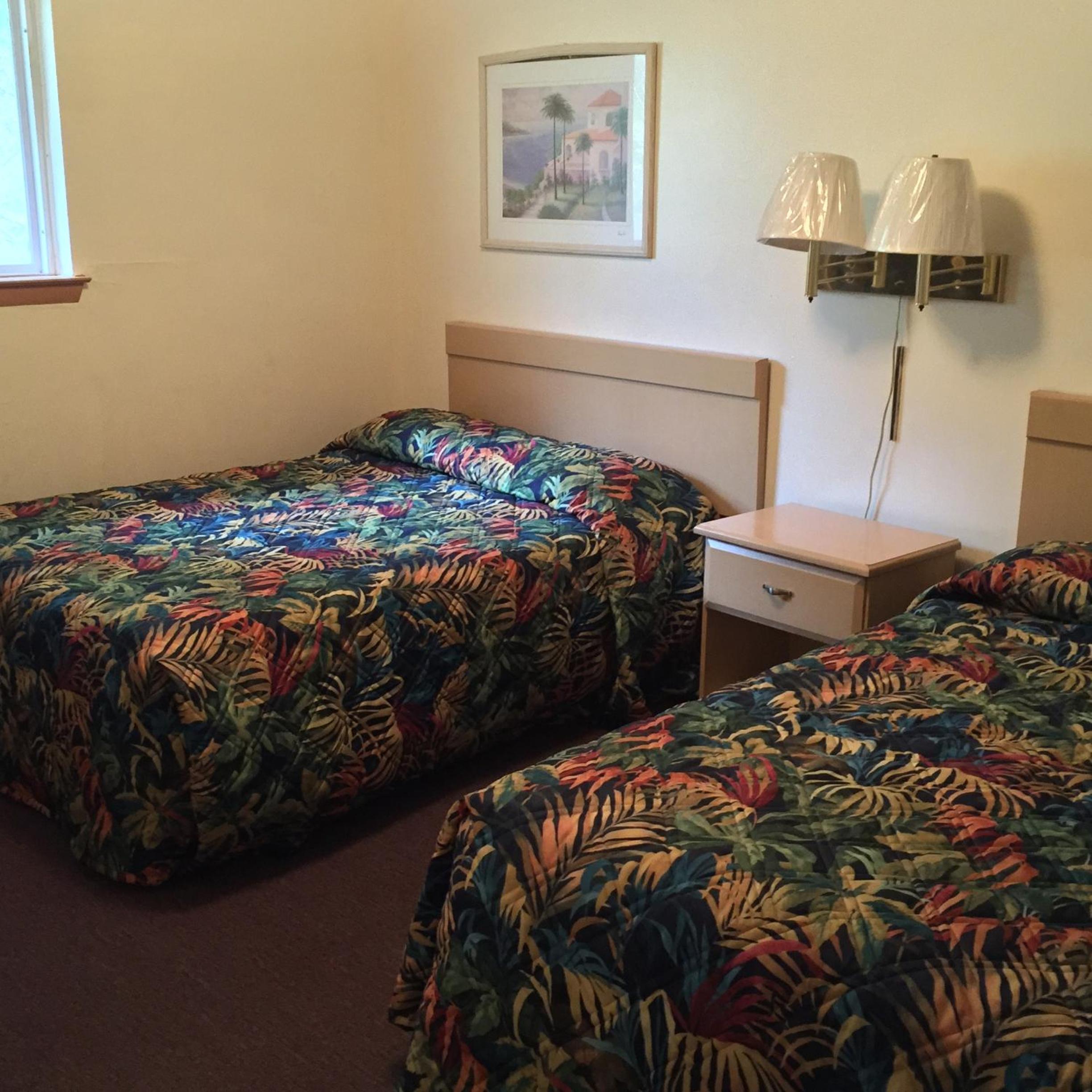 One Bedroom Suite  photo 1