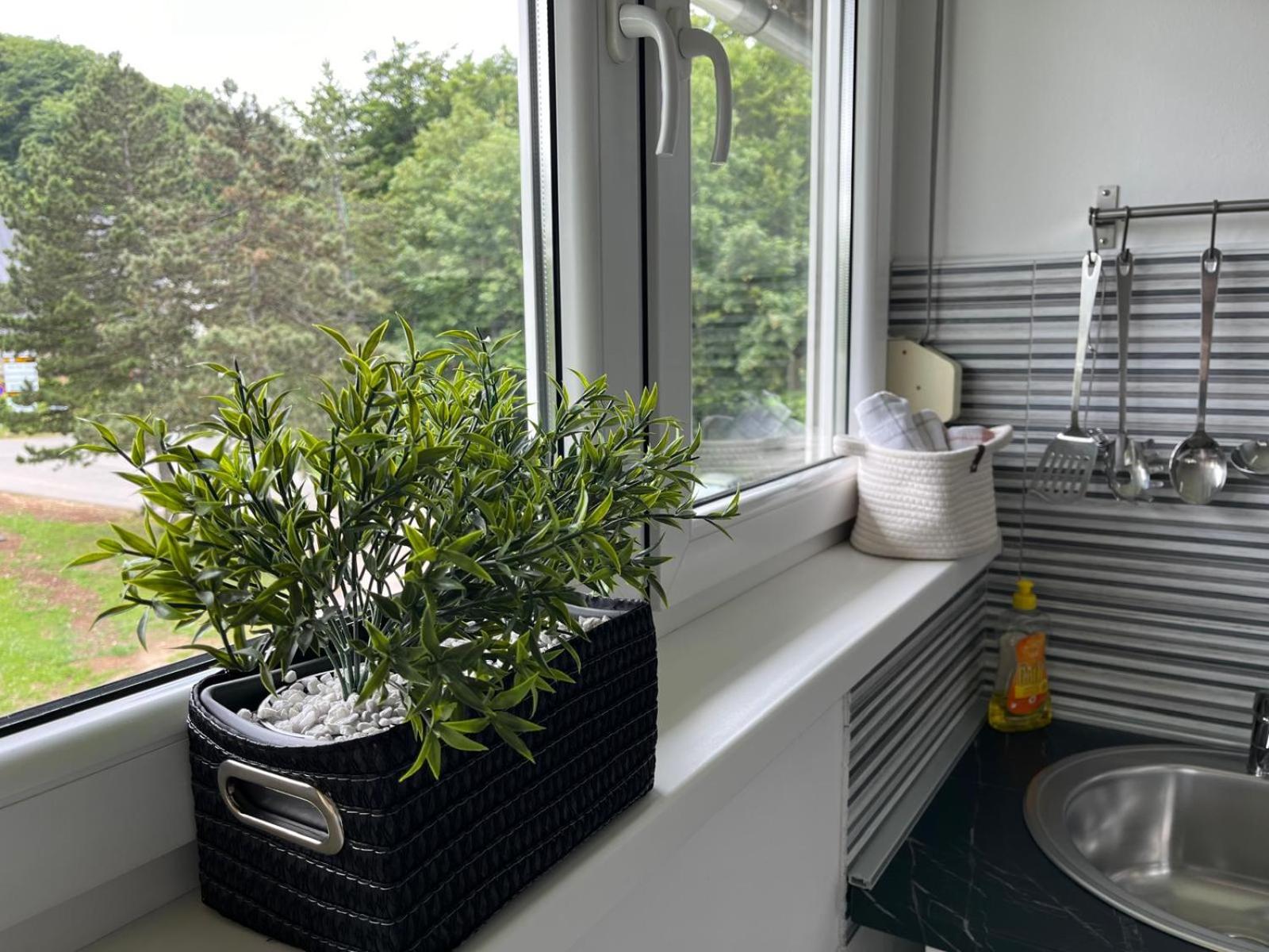 Deluxe Studio with Balcony - Photo 6