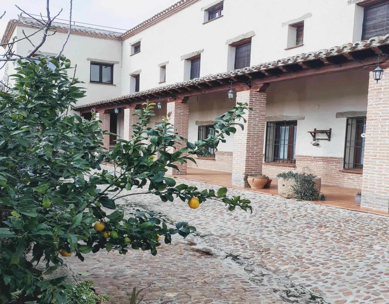 Apartment with Terrace photo 2
