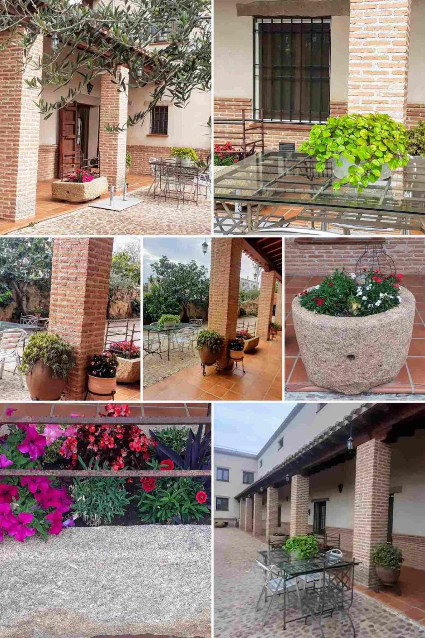 Apartment with Terrace photo 3