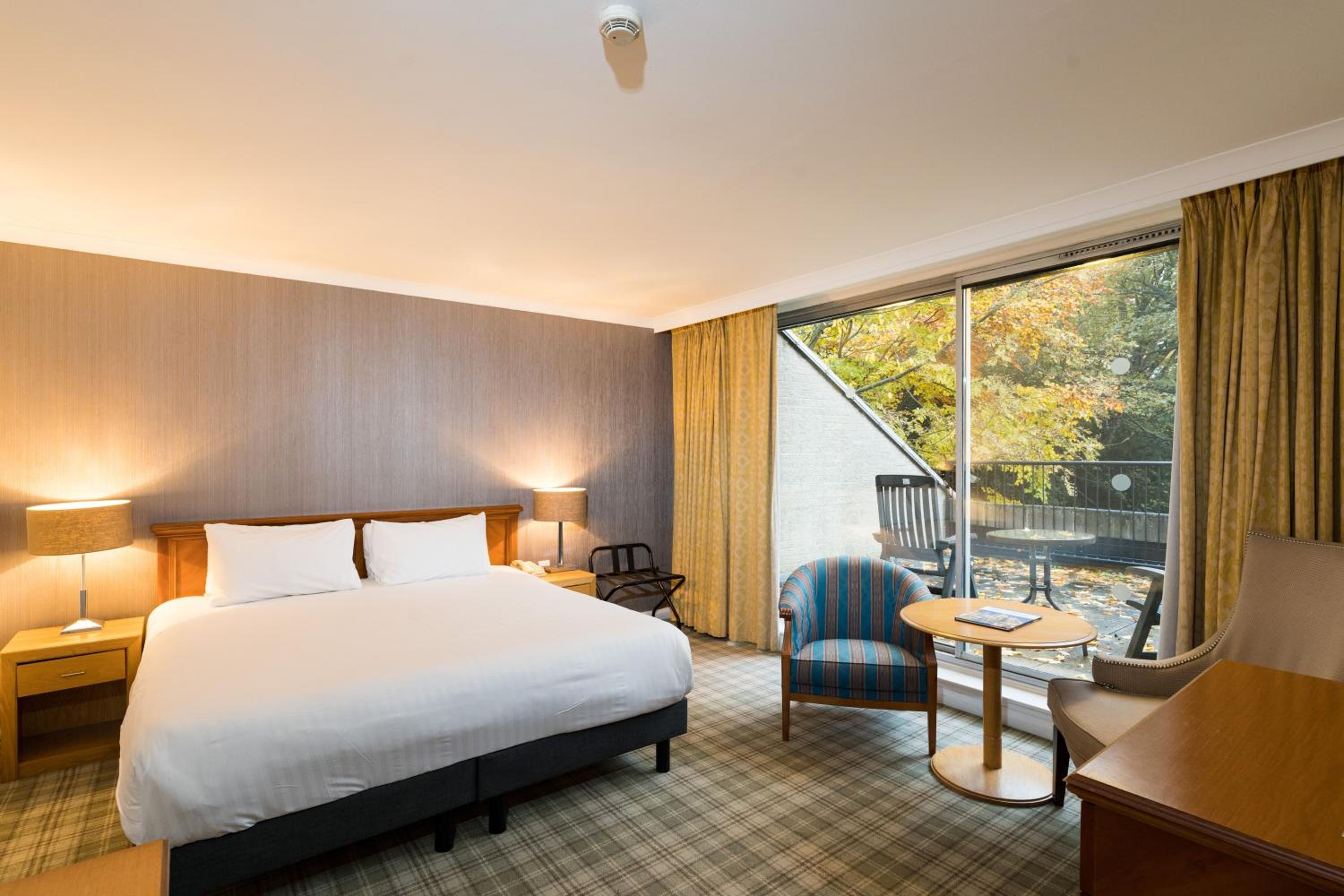Superior King Suite - Photo 4