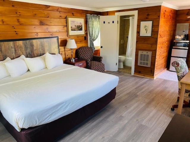 Fireside Cabin 1 King bed pet-friendly - Photo 1