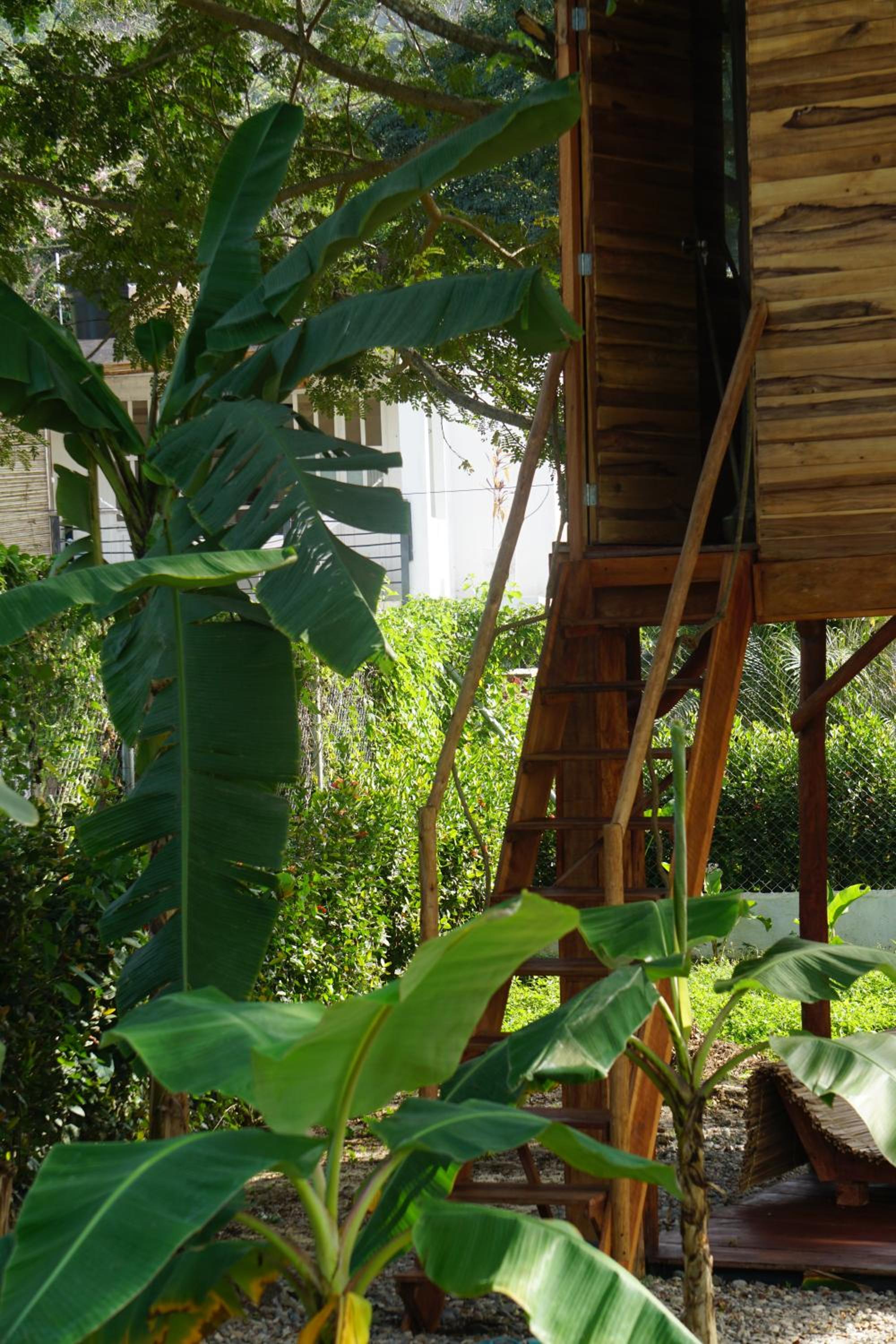 Double Room with Garden View photo 2