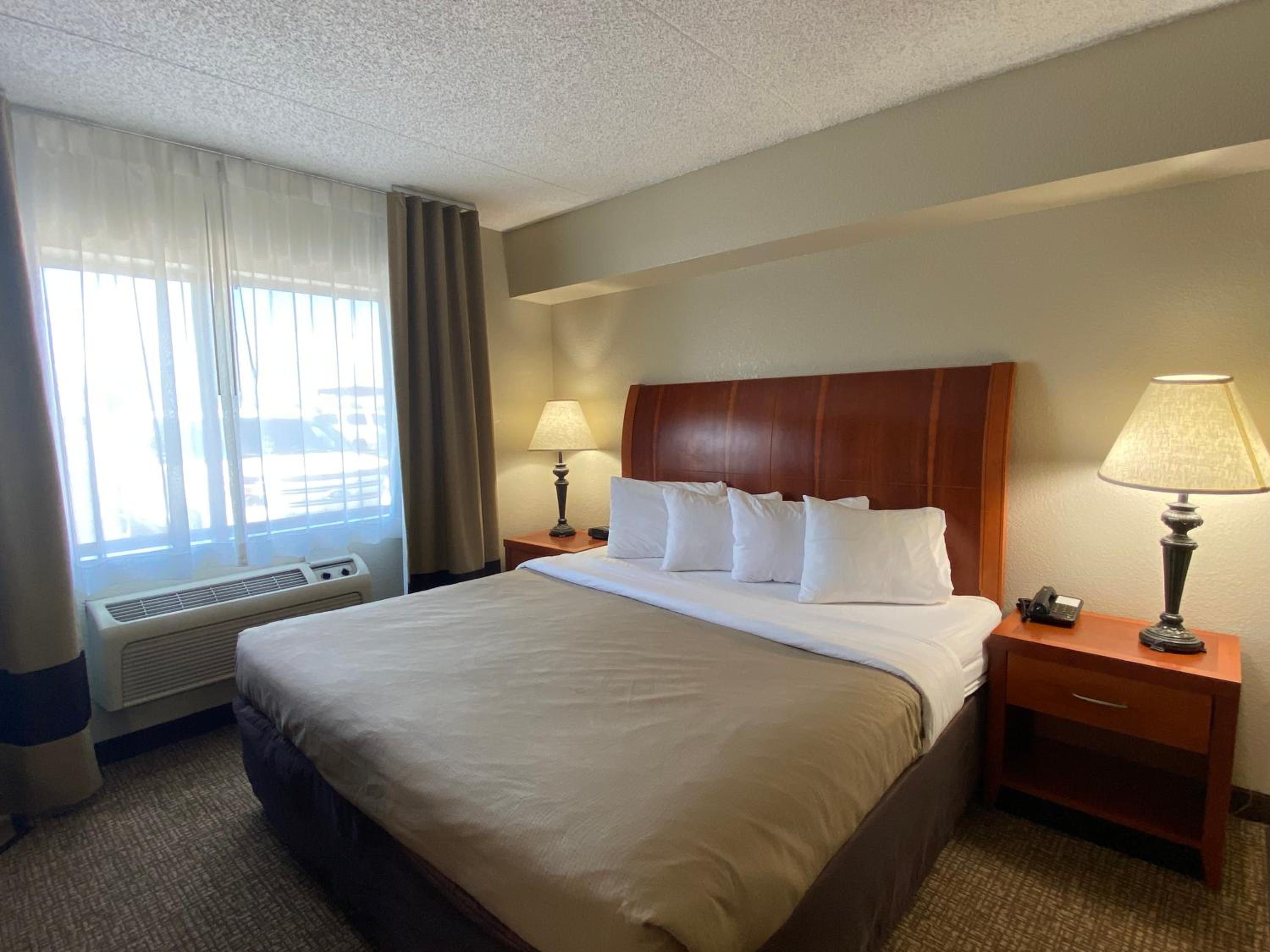 Business King Room - Pet Friendly photo 1