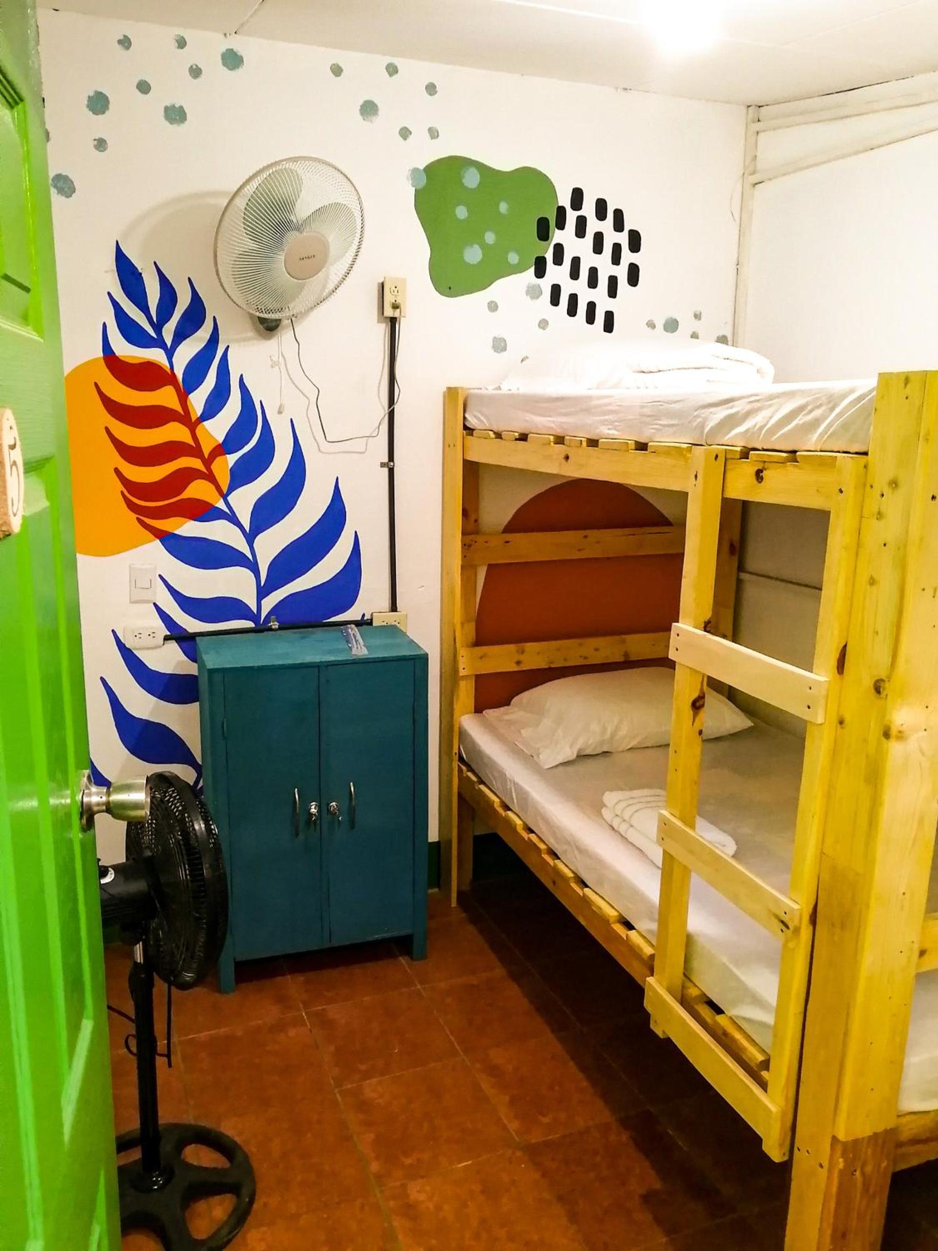 Bunk Bed In Mixed Dormitory Room photo 1