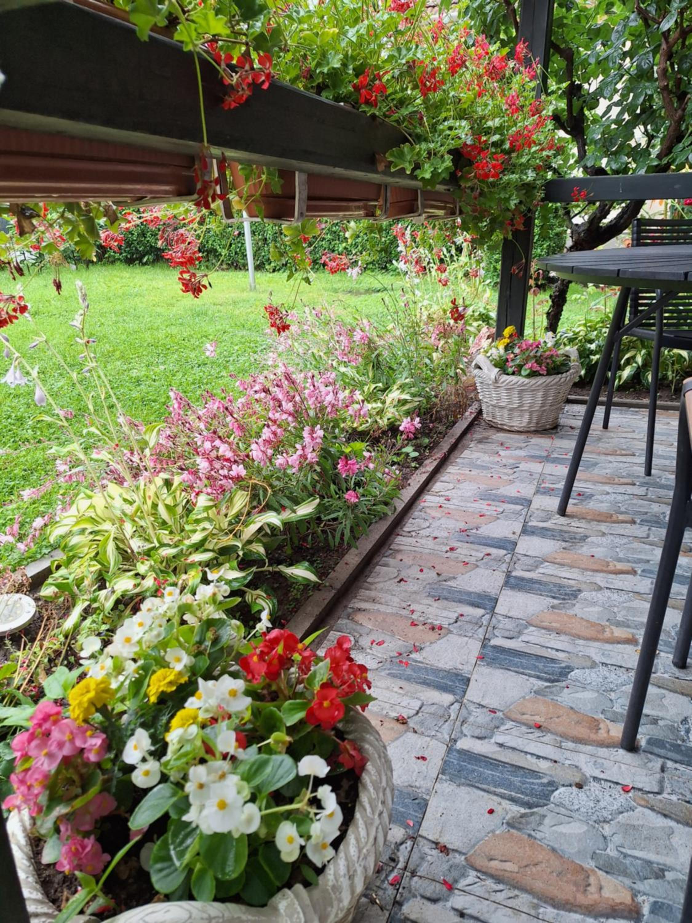 Apartment With Terrace photo 3