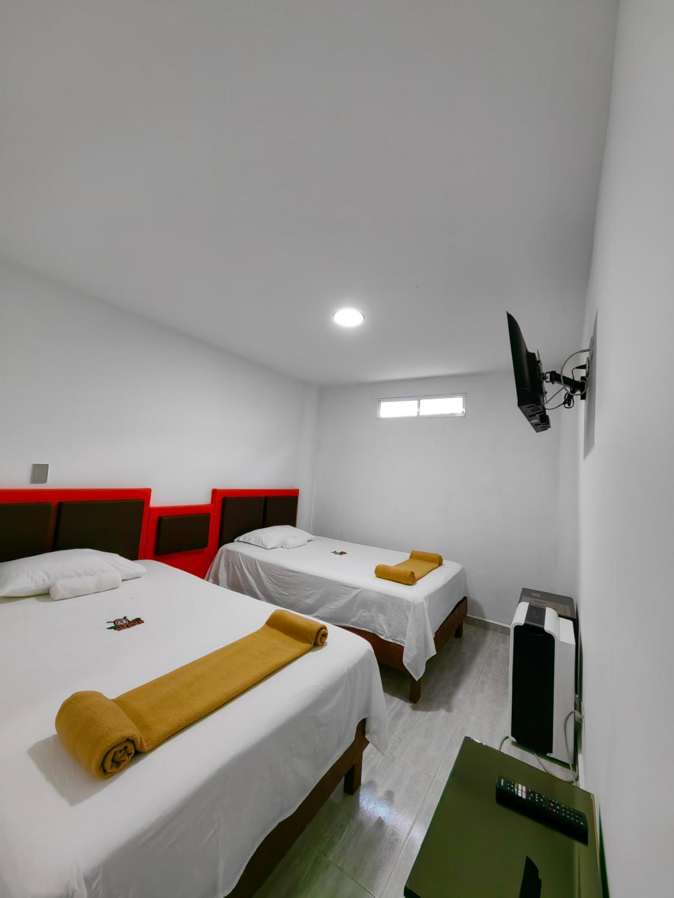 Twin Room photo 3