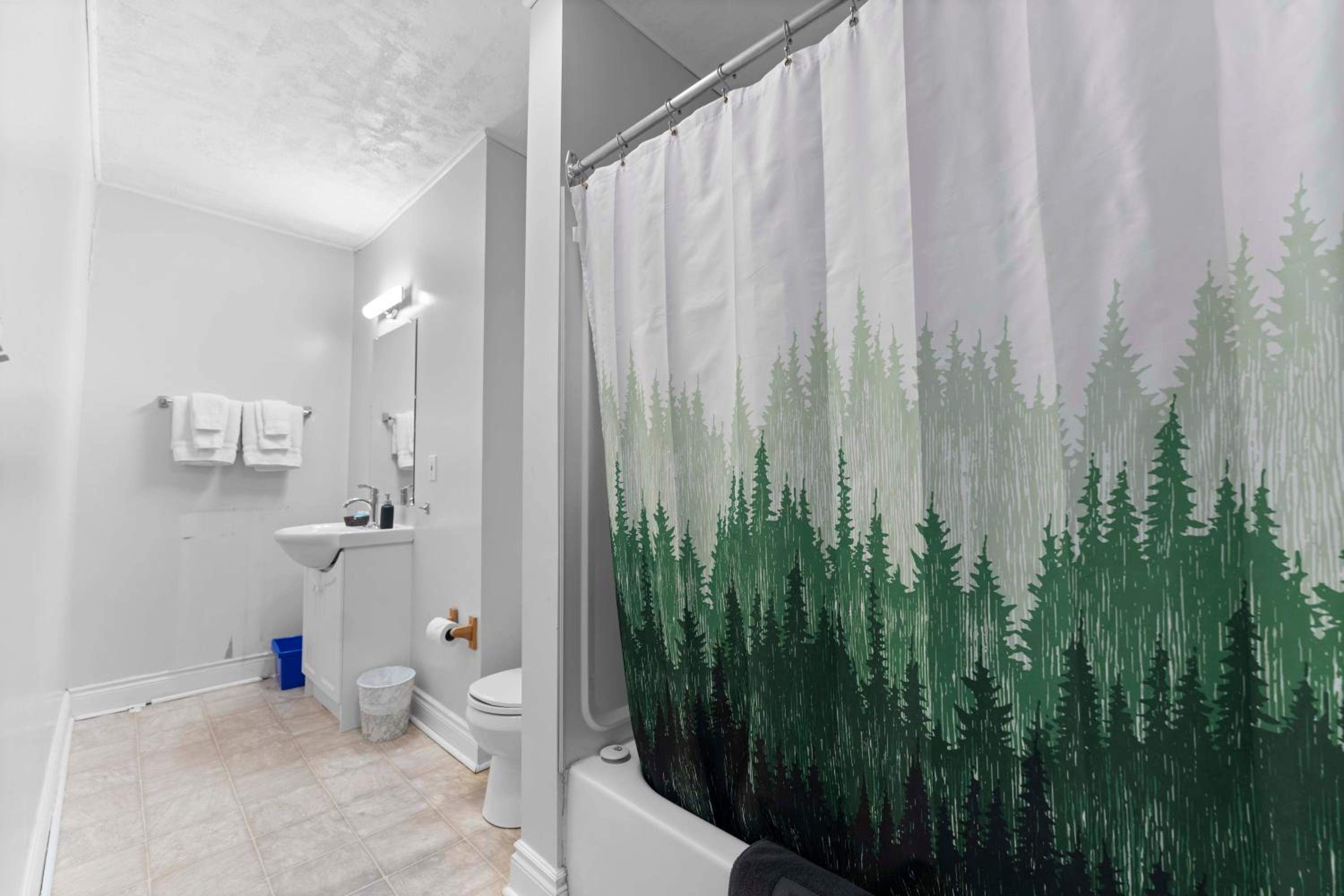 Family Room with Bathroom photo 3